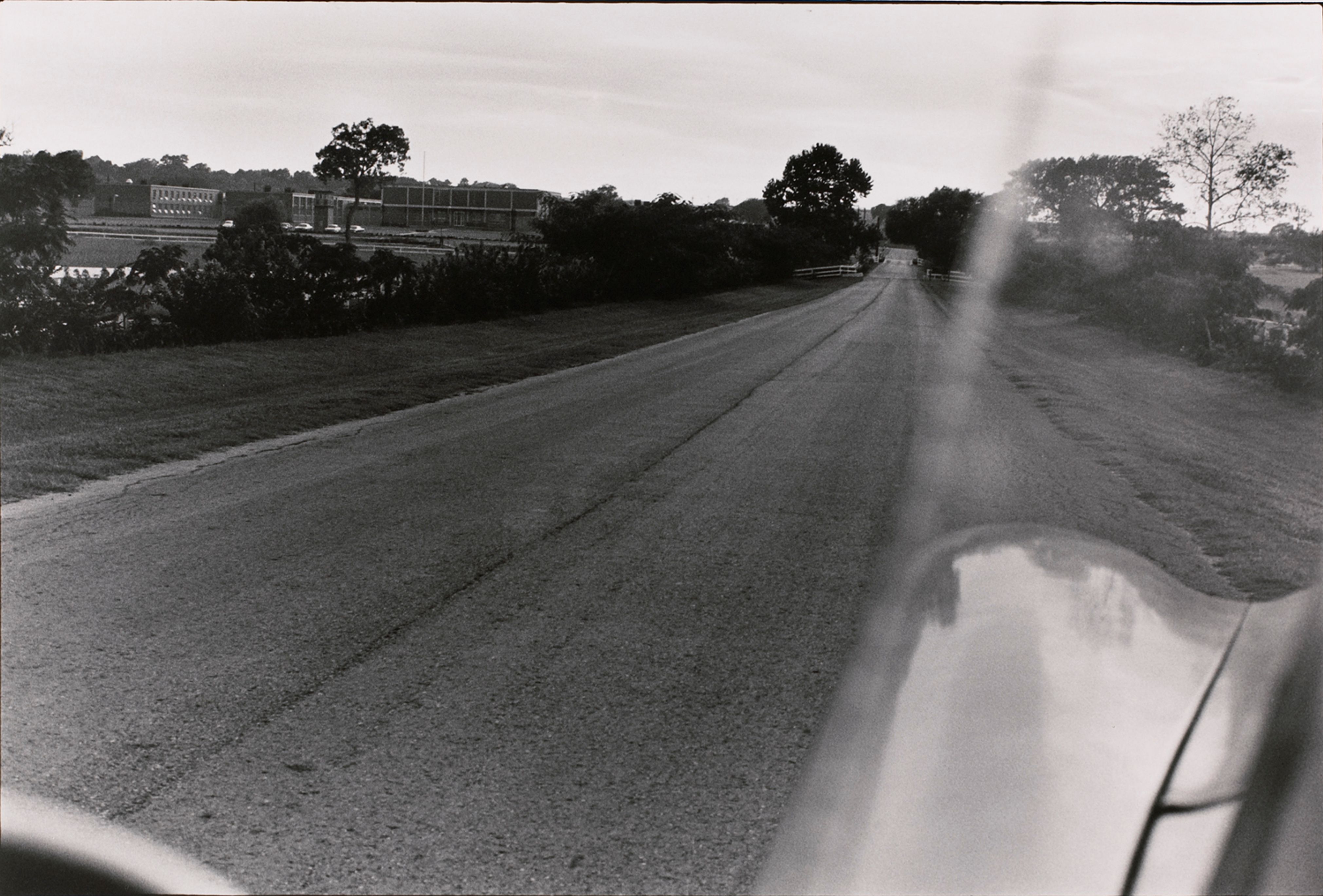 Untitled (landscape shot out of car window)