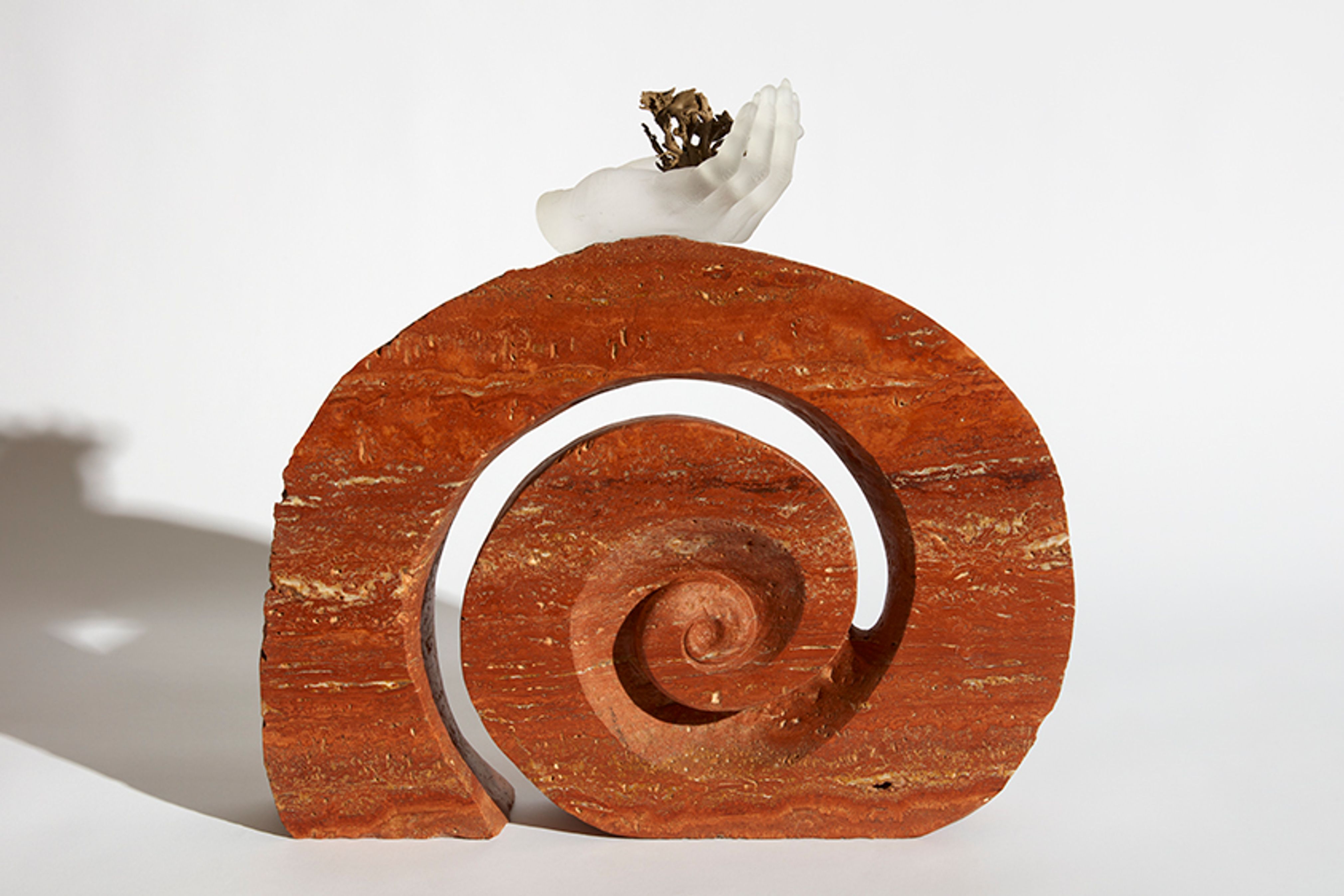 Cultivator (Fruiting Whorl)
