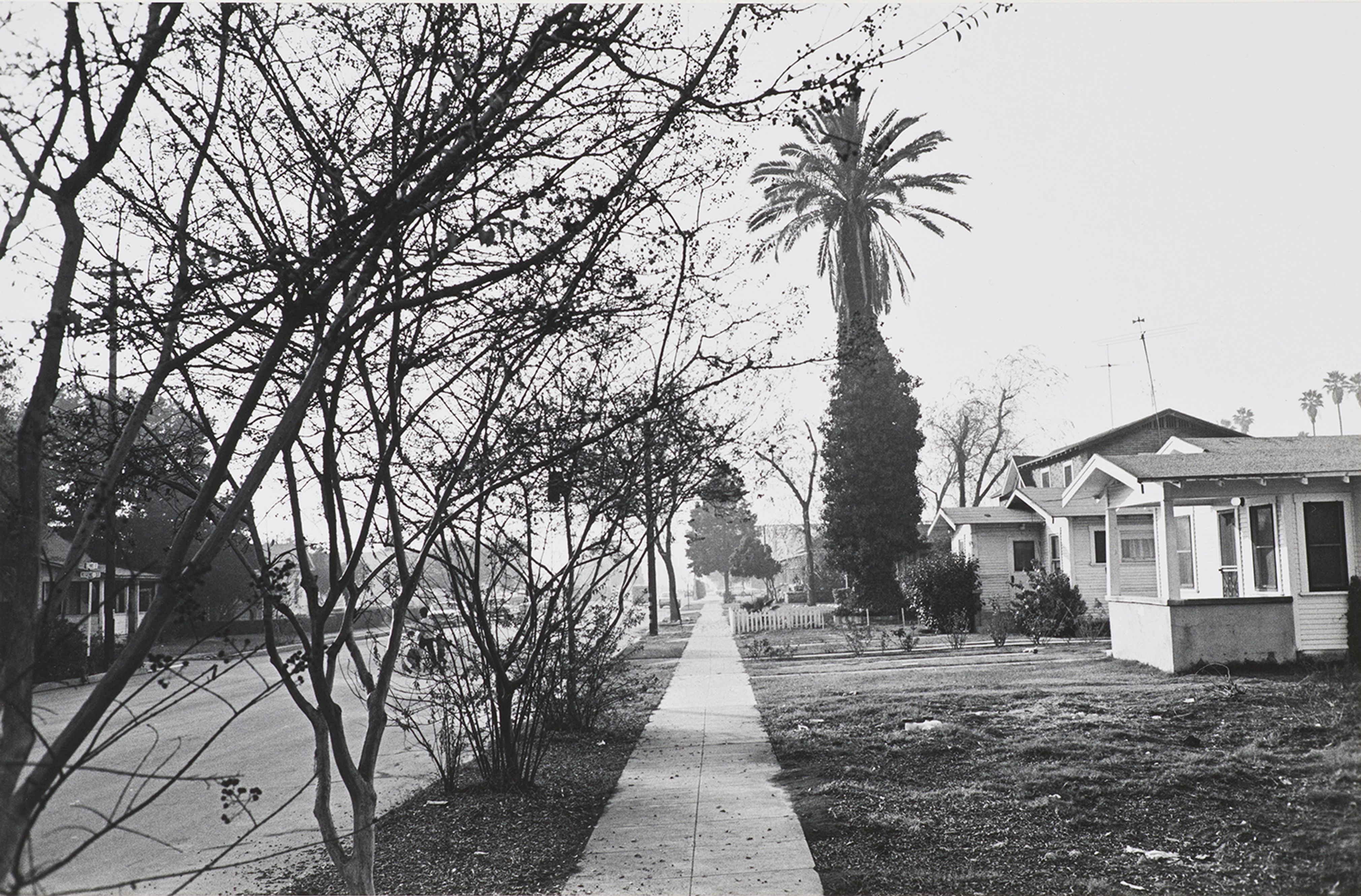 Untitled (Street Scene with Trees and House)