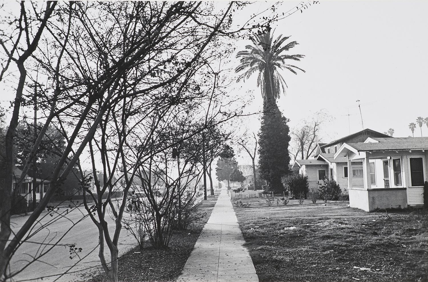 Untitled (Street Scene with Trees and House)