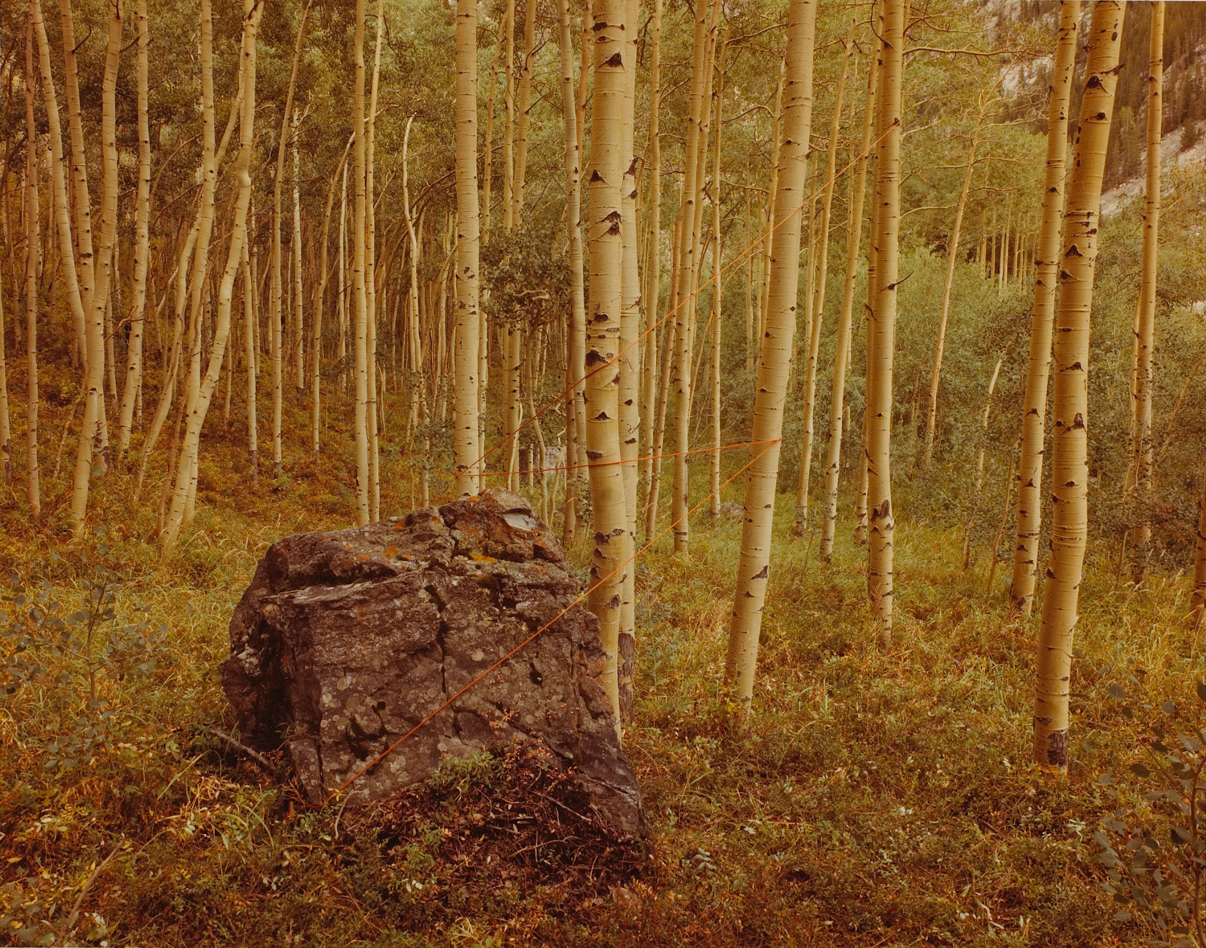Aspen Lightning, Frisco, Colorado