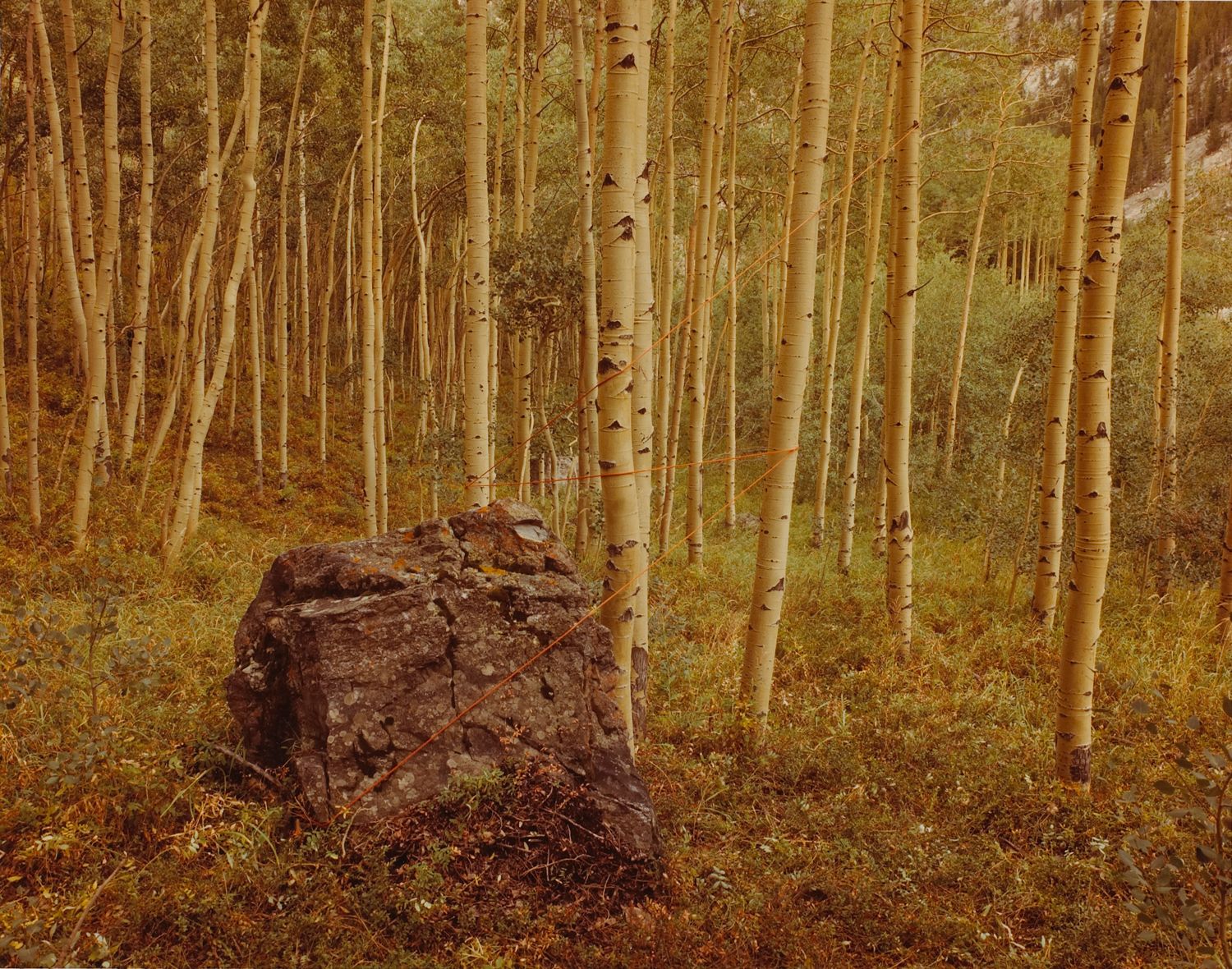 Aspen Lightning, Frisco, Colorado