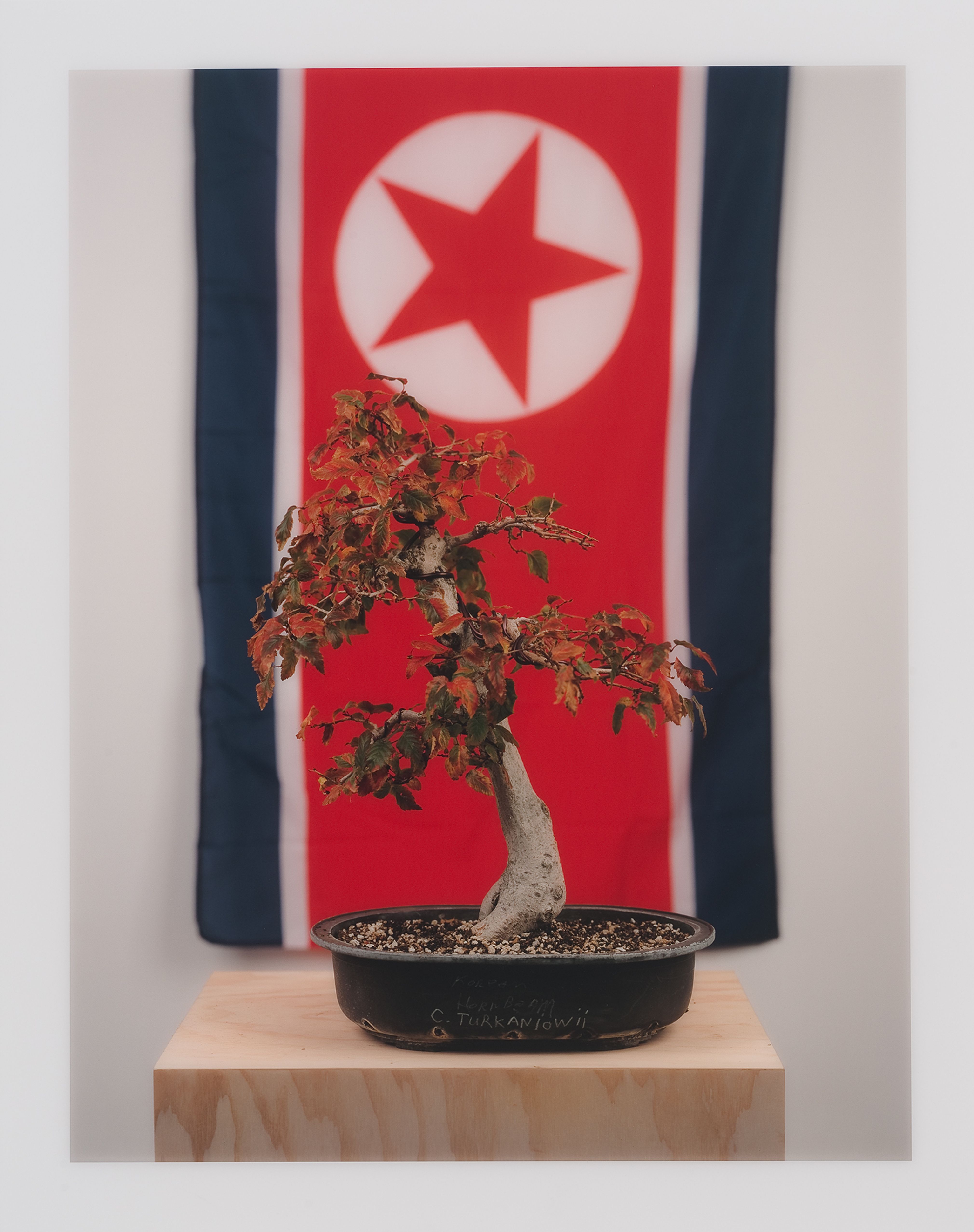 North Korea