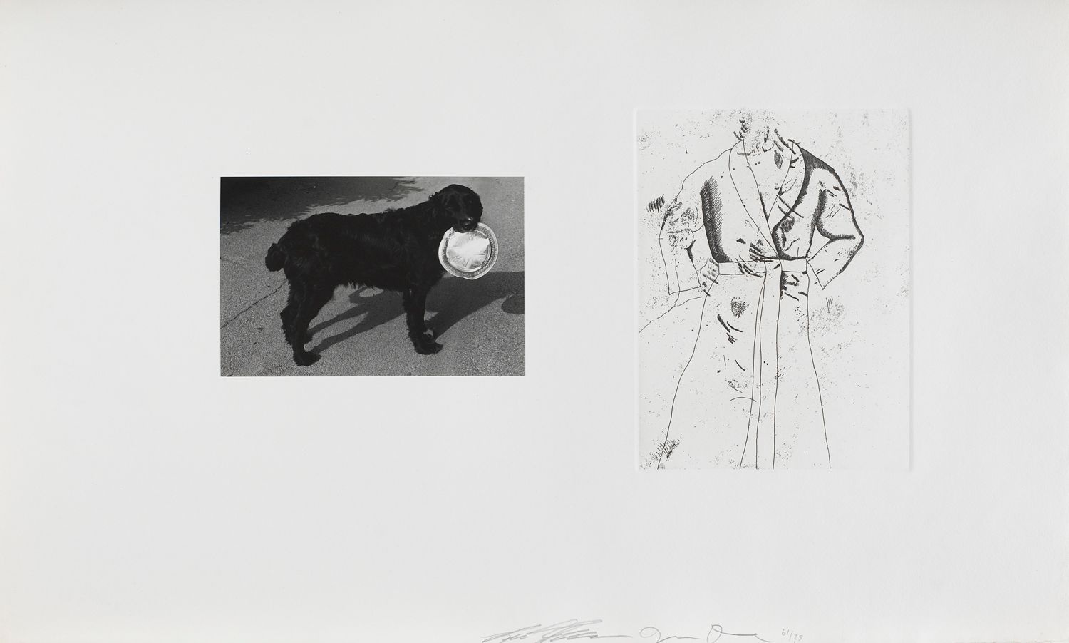 Untitled (dog and robe)