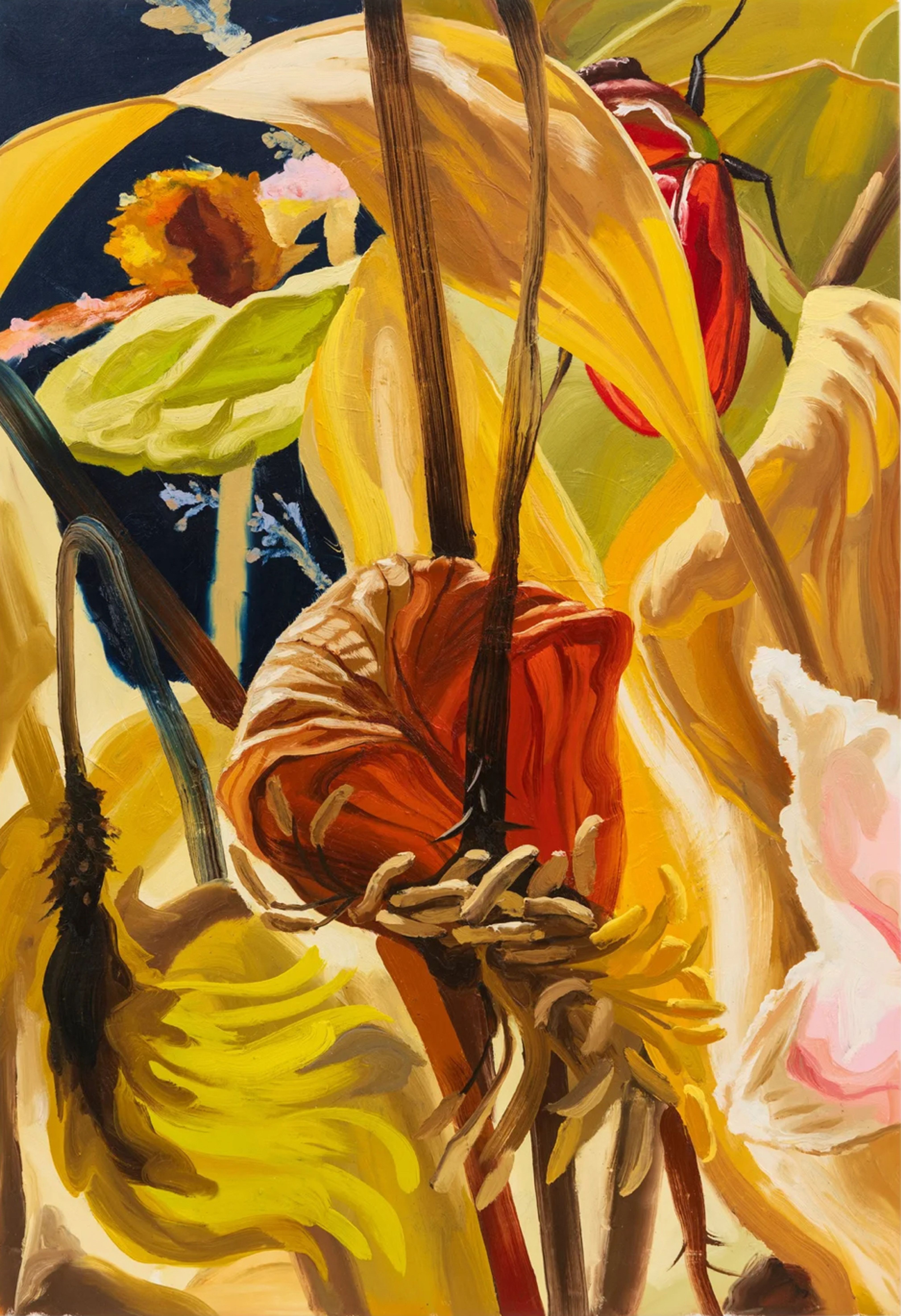 The Plant Sale