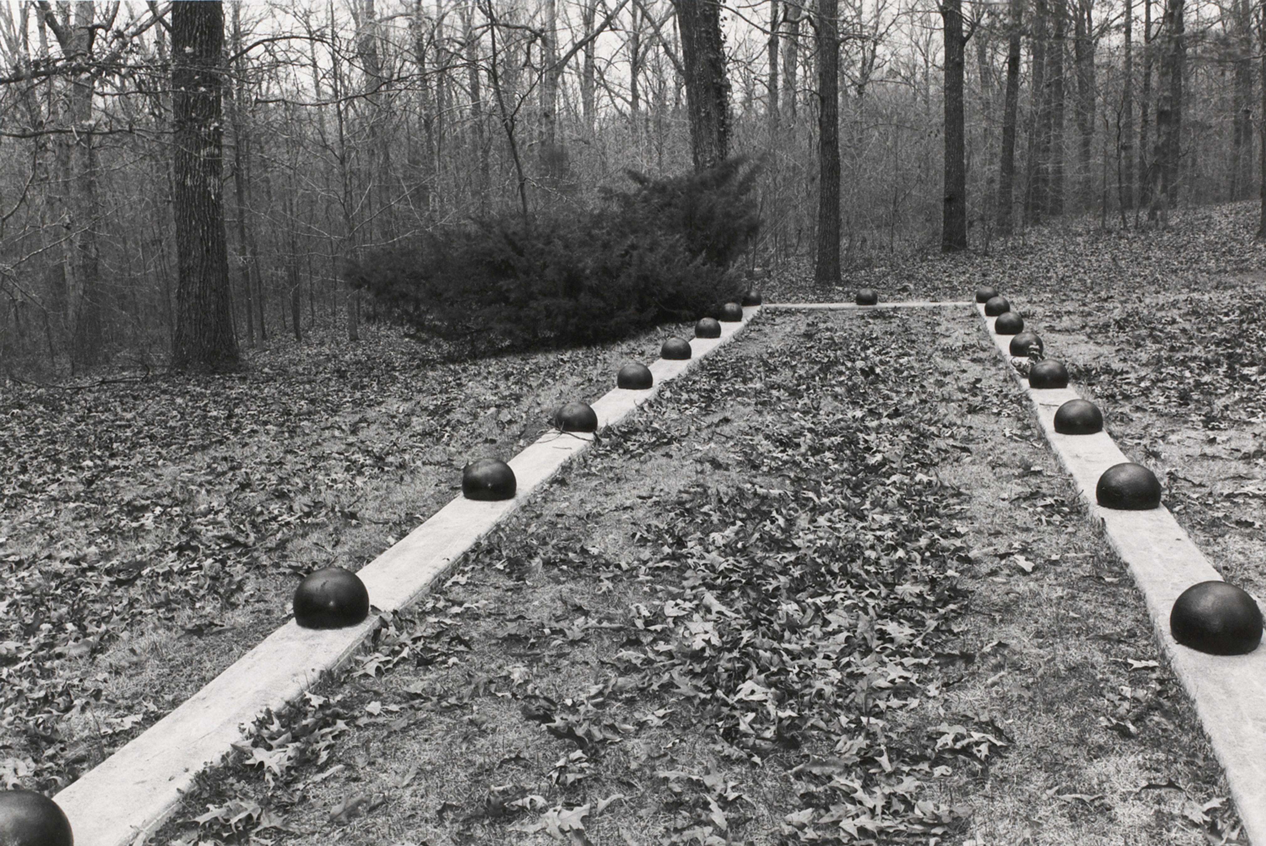 Untitled from Shiloh National Military Park, Tenessee (view from inside rectangle with balls)