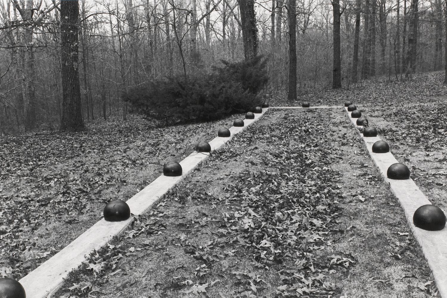 Untitled from Shiloh National Military Park, Tenessee (view from inside rectangle with balls)