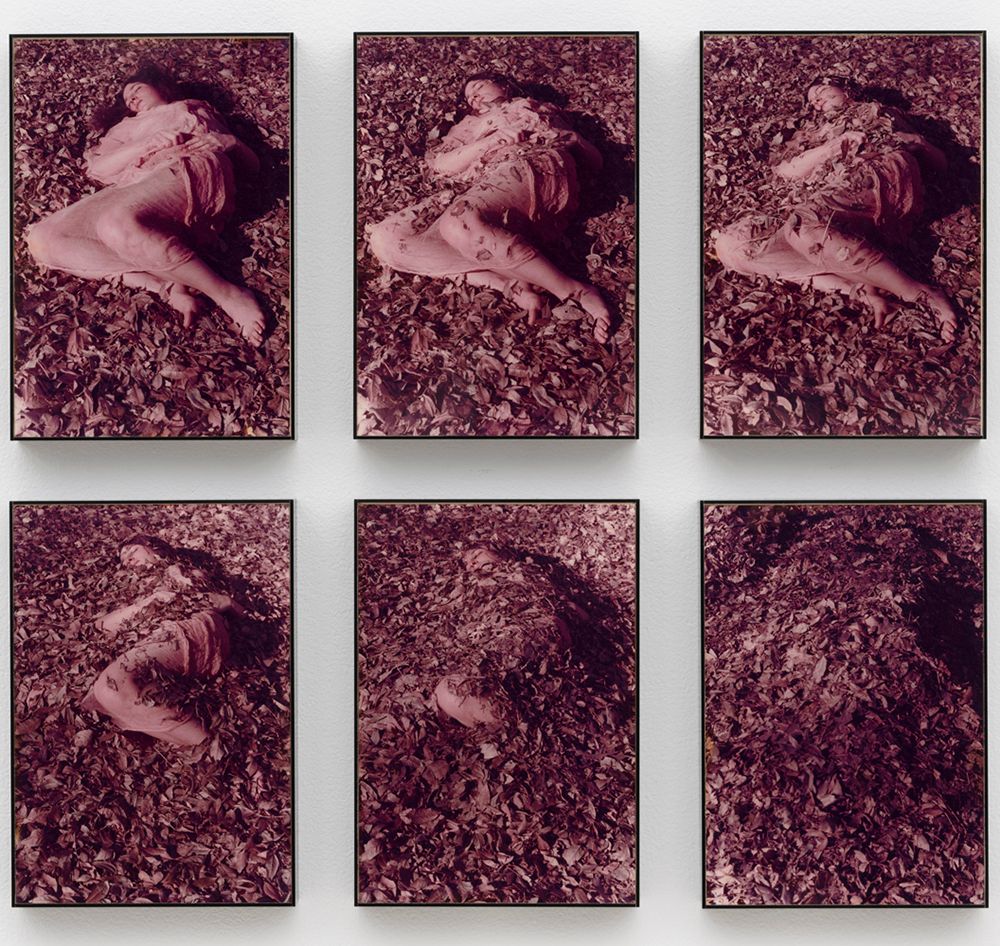 Leaves, A Self Portrait