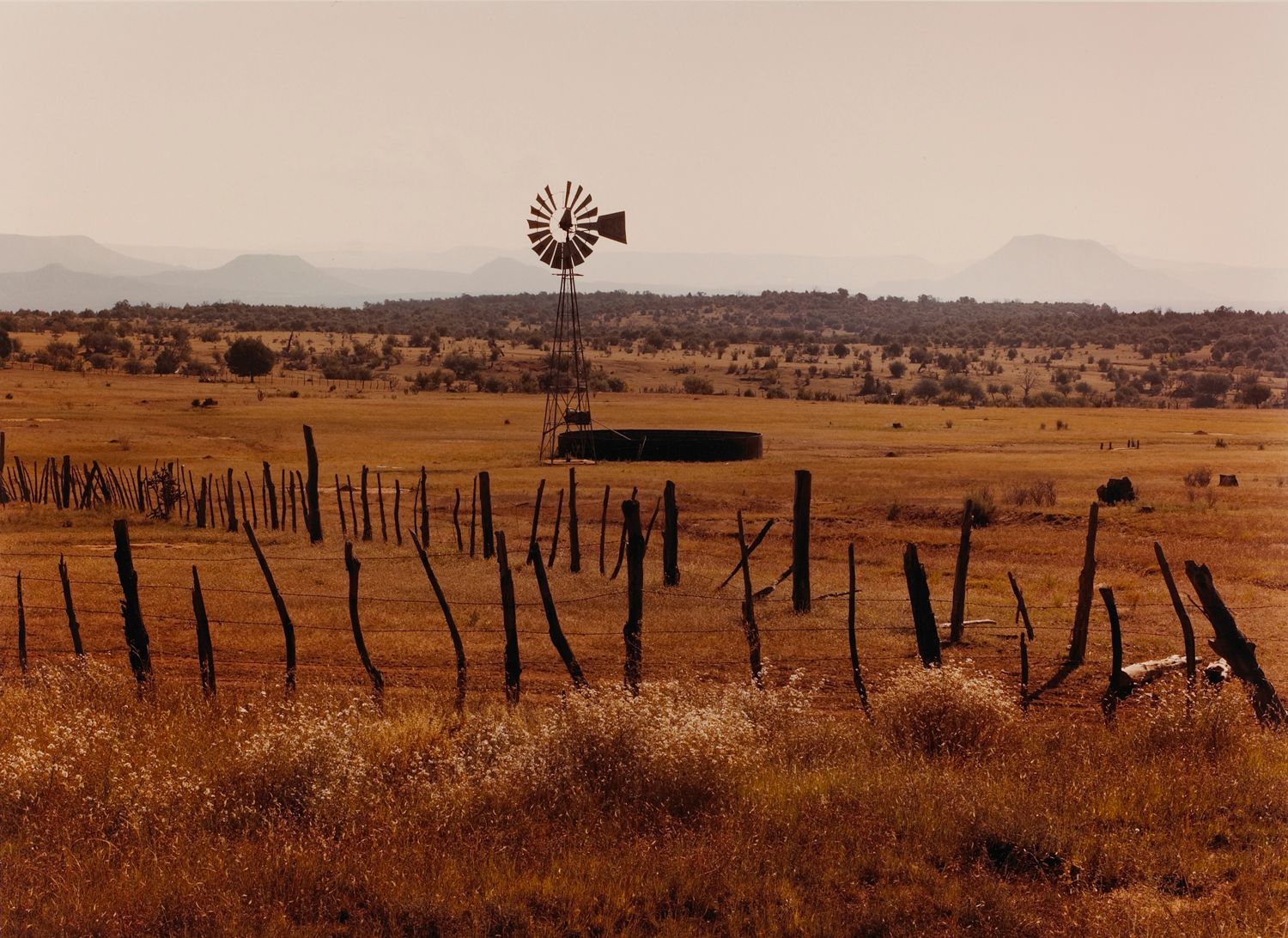 Windmill, Carrizo, Arizona