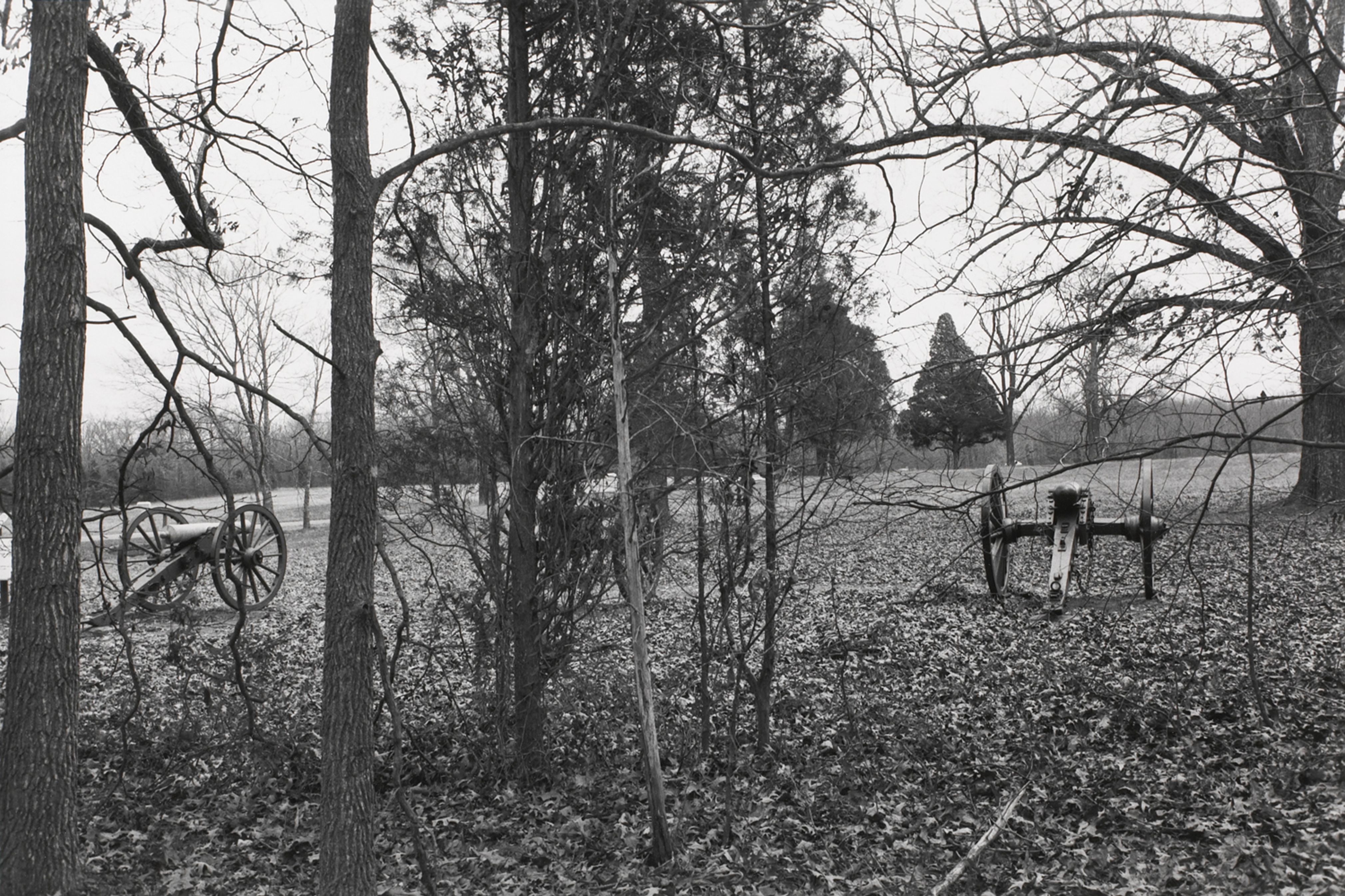 Untitled from Shiloh National Military Park, Tenessee (cannons)