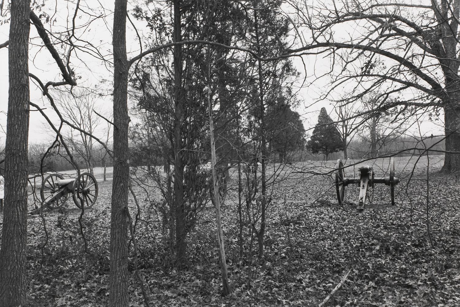 Untitled from Shiloh National Military Park, Tenessee (cannons)