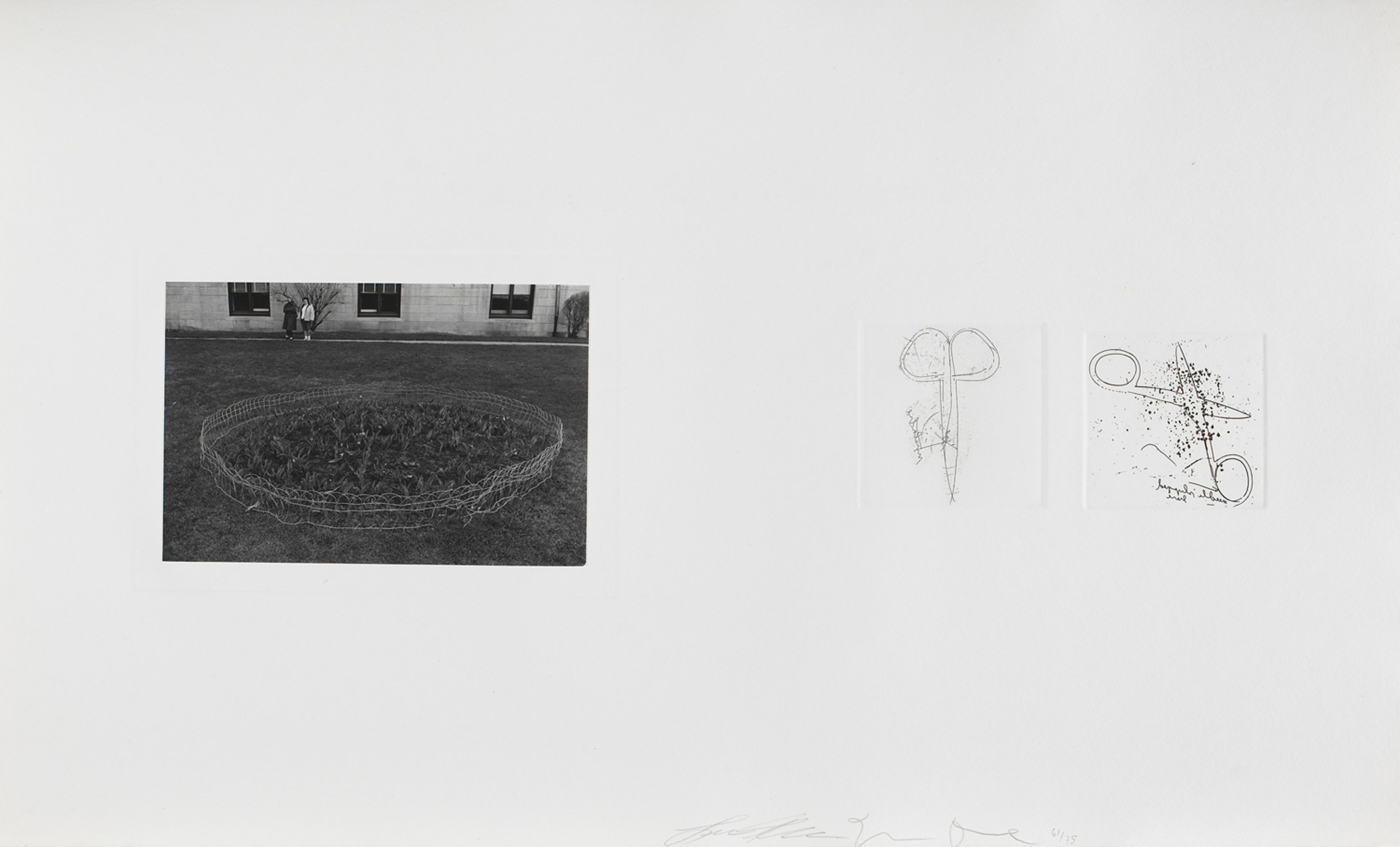 Untitled (small garden and two pairs of scissors)