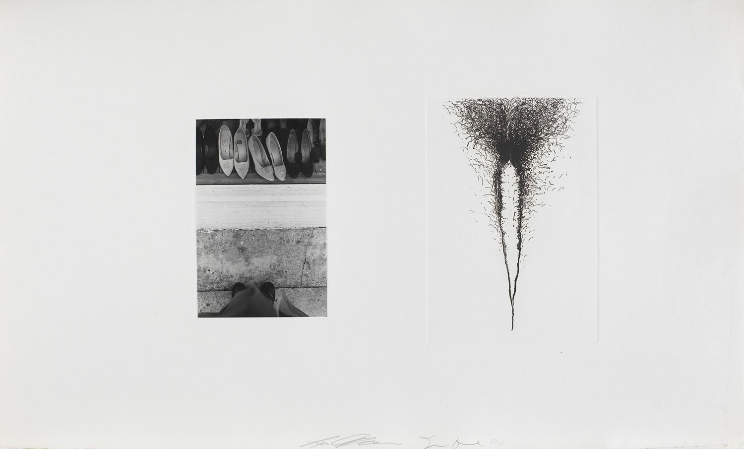 Untitled (women’s shoes and vagina)