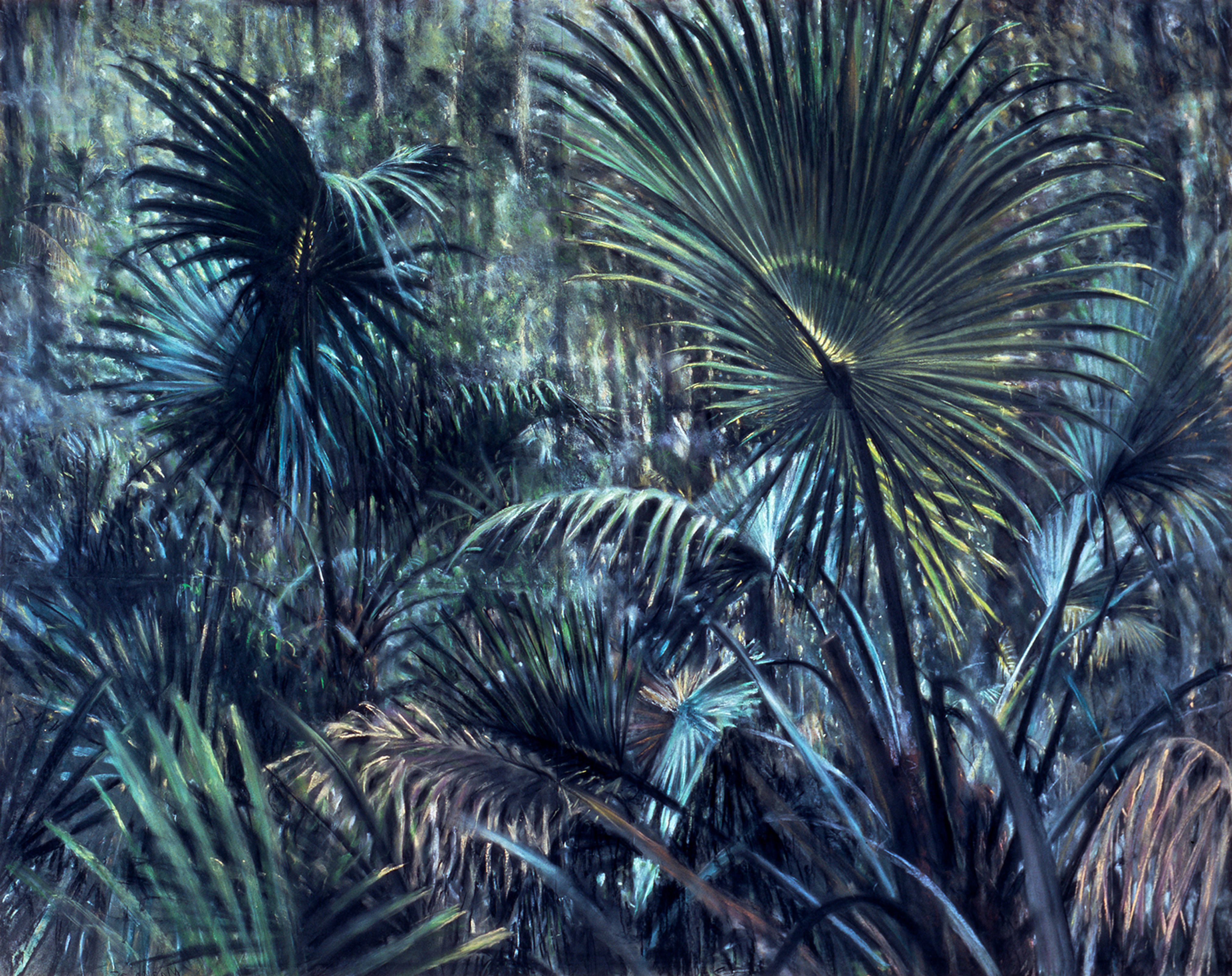 Palmetto