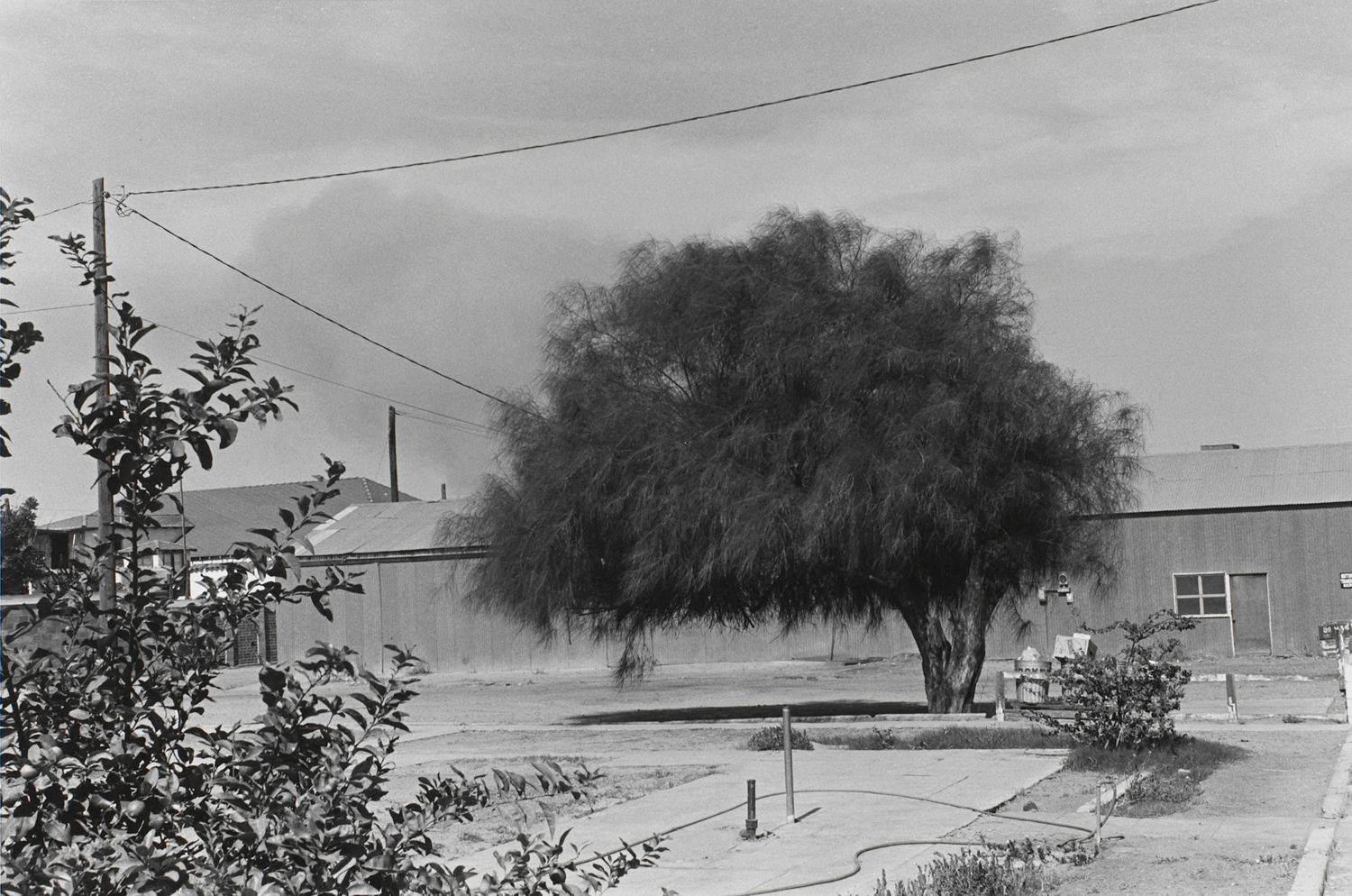 Yuma, Arizona