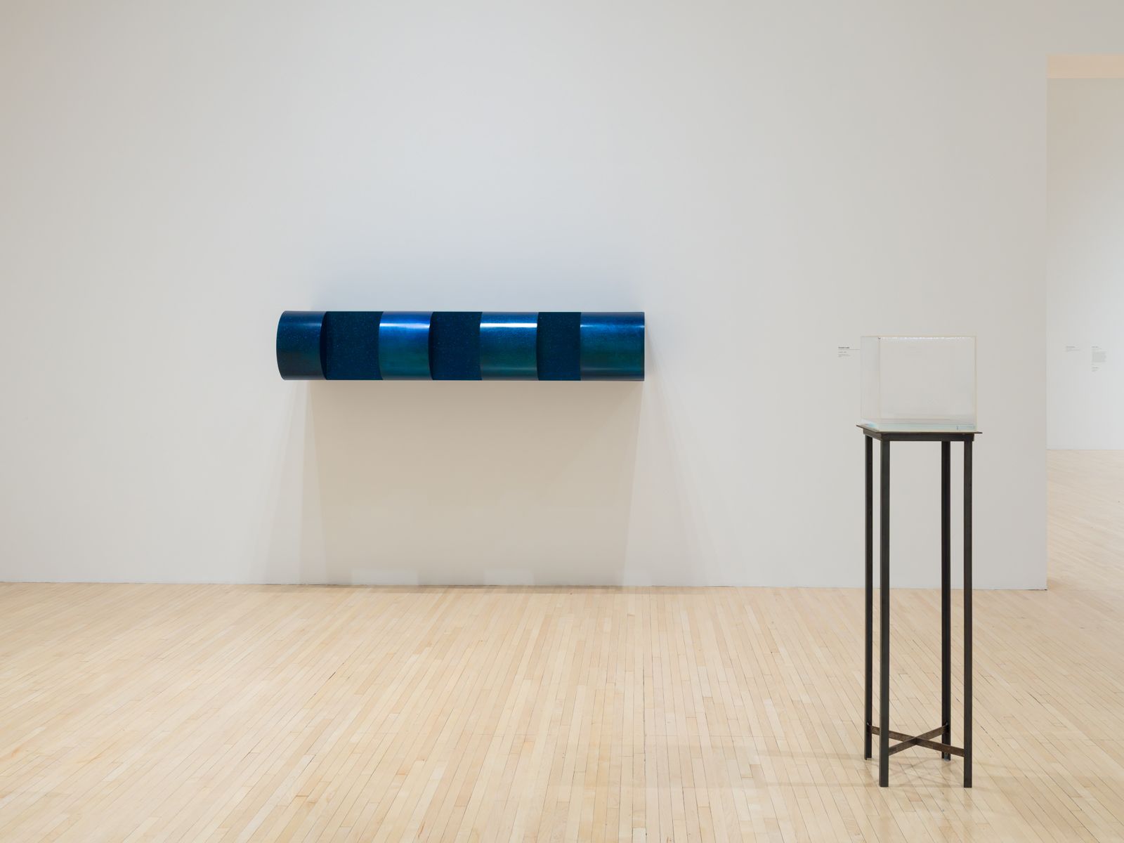 The Expanding Field: MOCA's Collection from the 1940s to 1970s