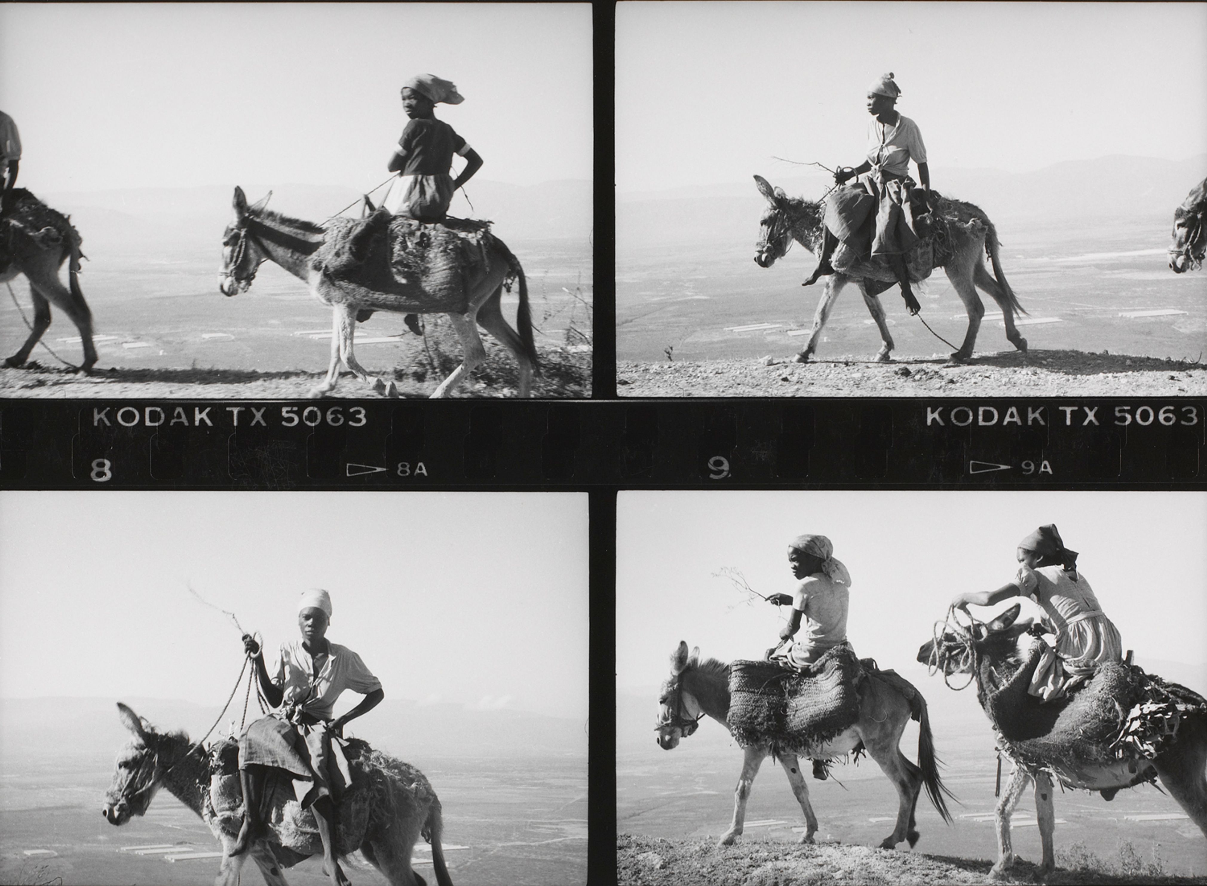 Series of 4: Women on Mules