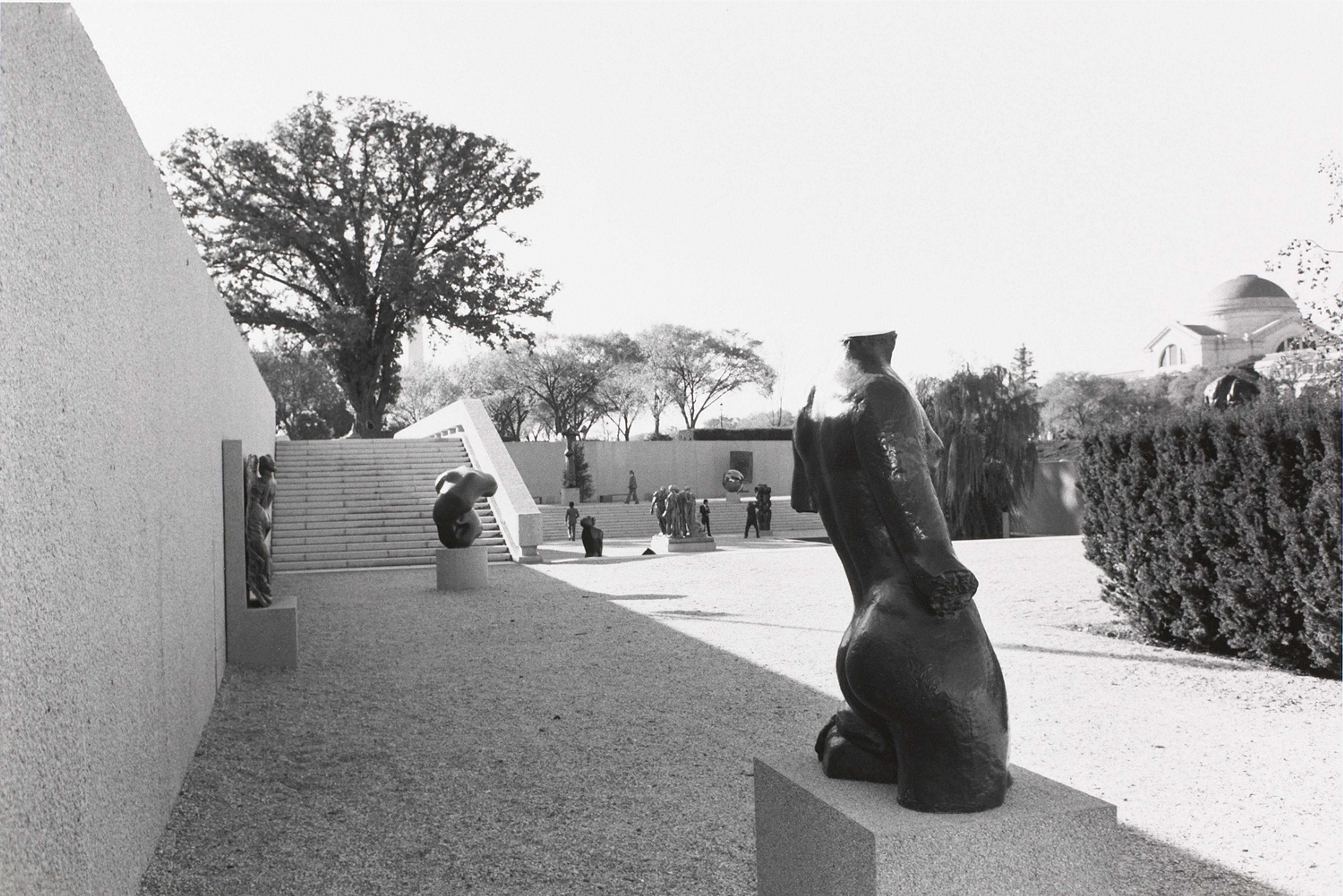 Untitled, Torso