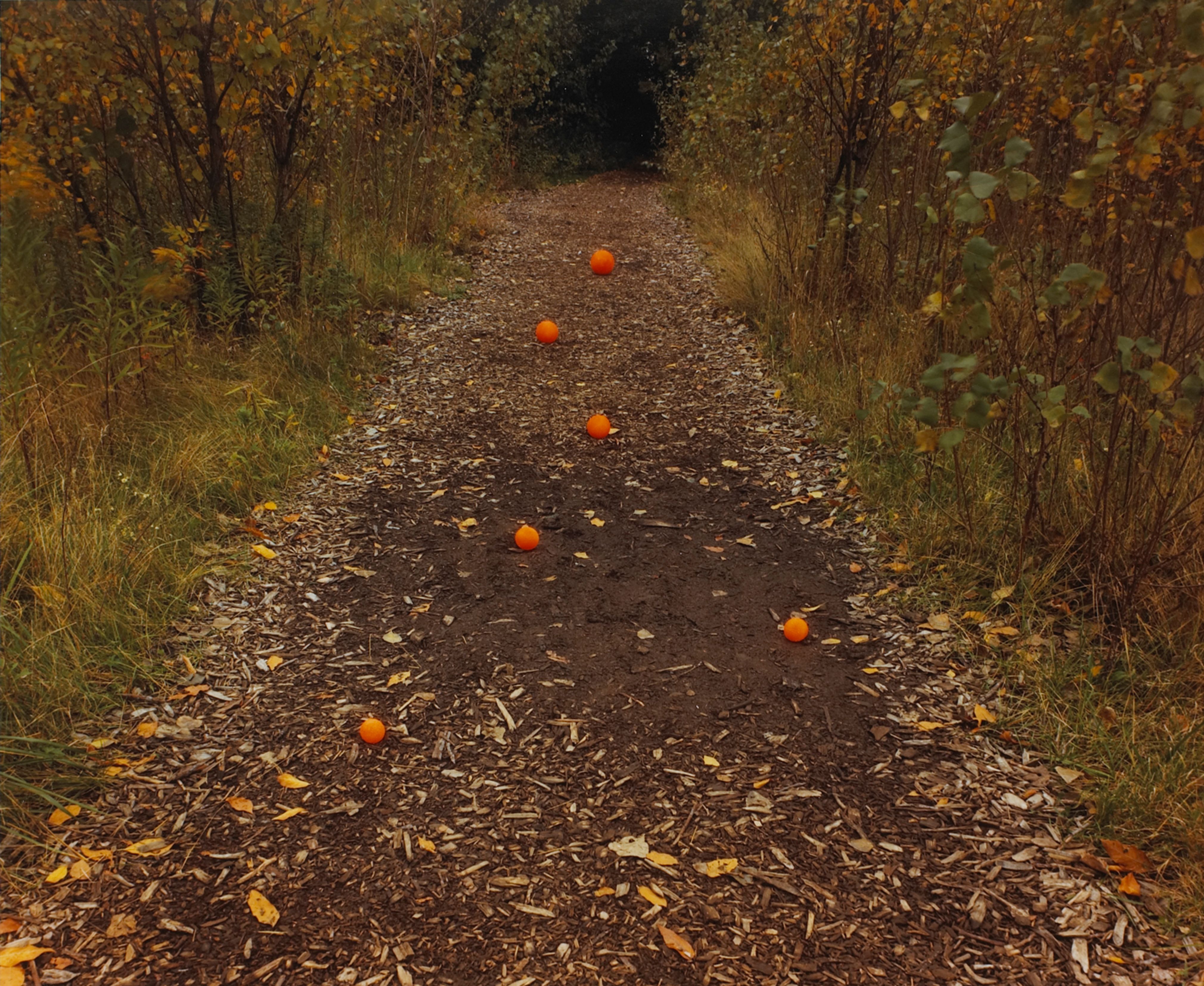 Six Oranges, Delaware Park, Buffalo, New York