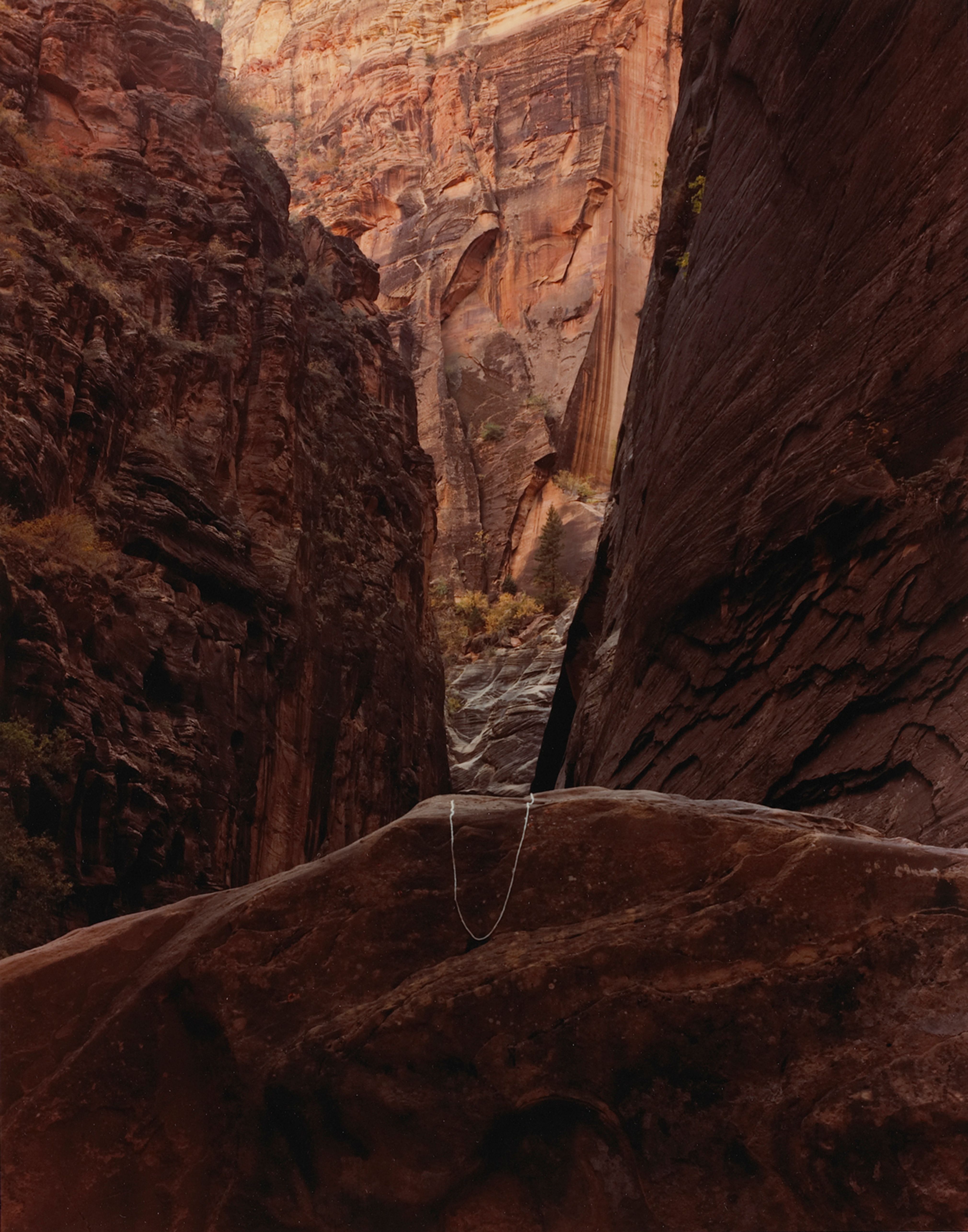 Canyon Point, Zion National Park, Utah