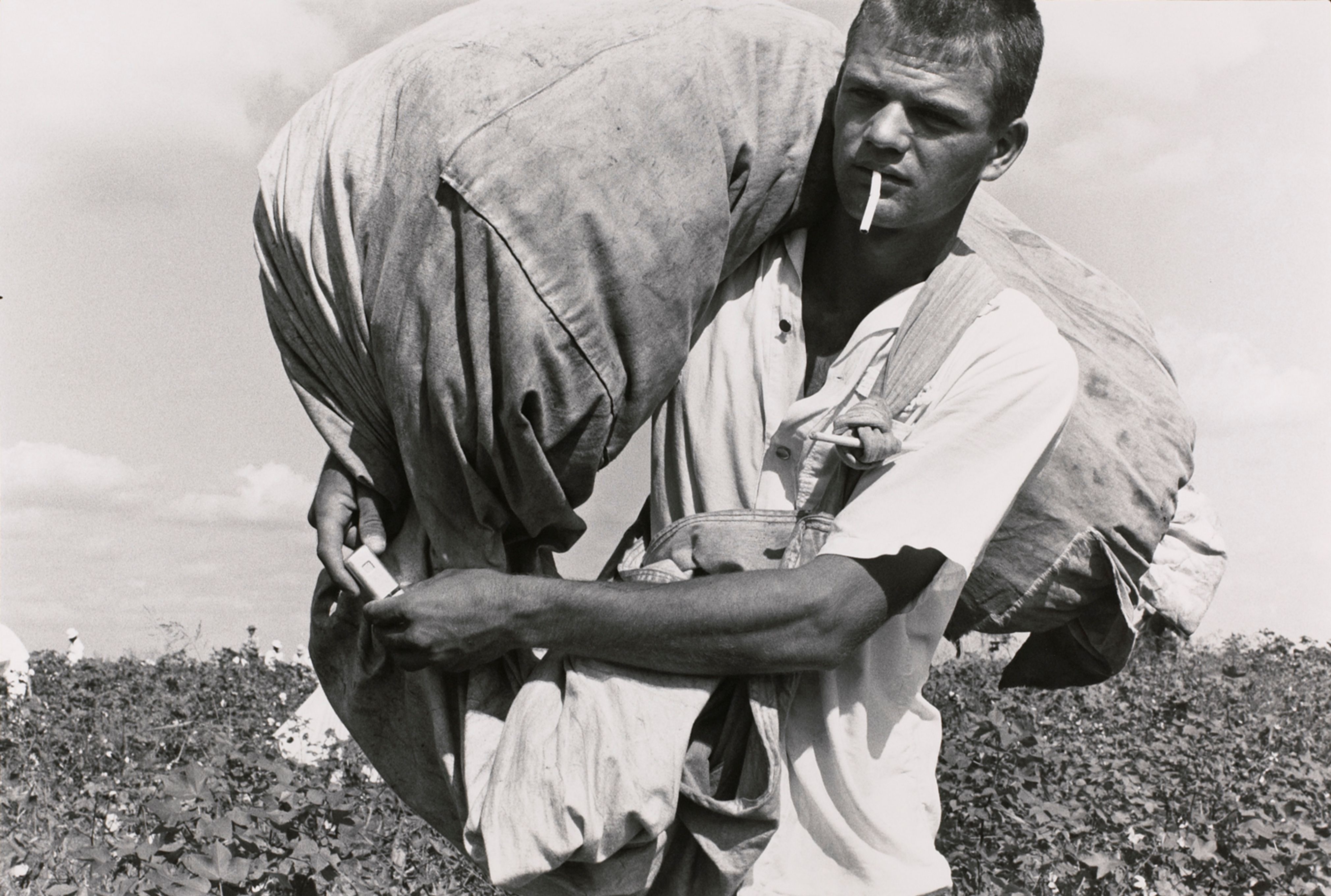 Cotton picker; ten year, robbery and assault