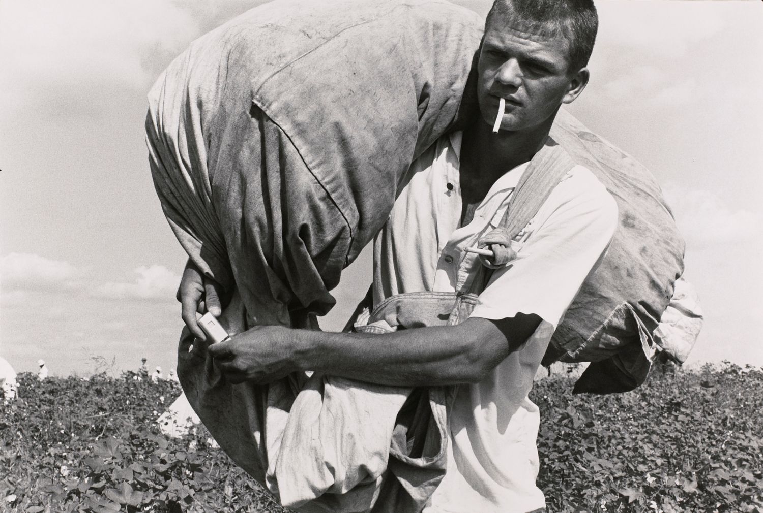 Cotton picker; ten year, robbery and assault