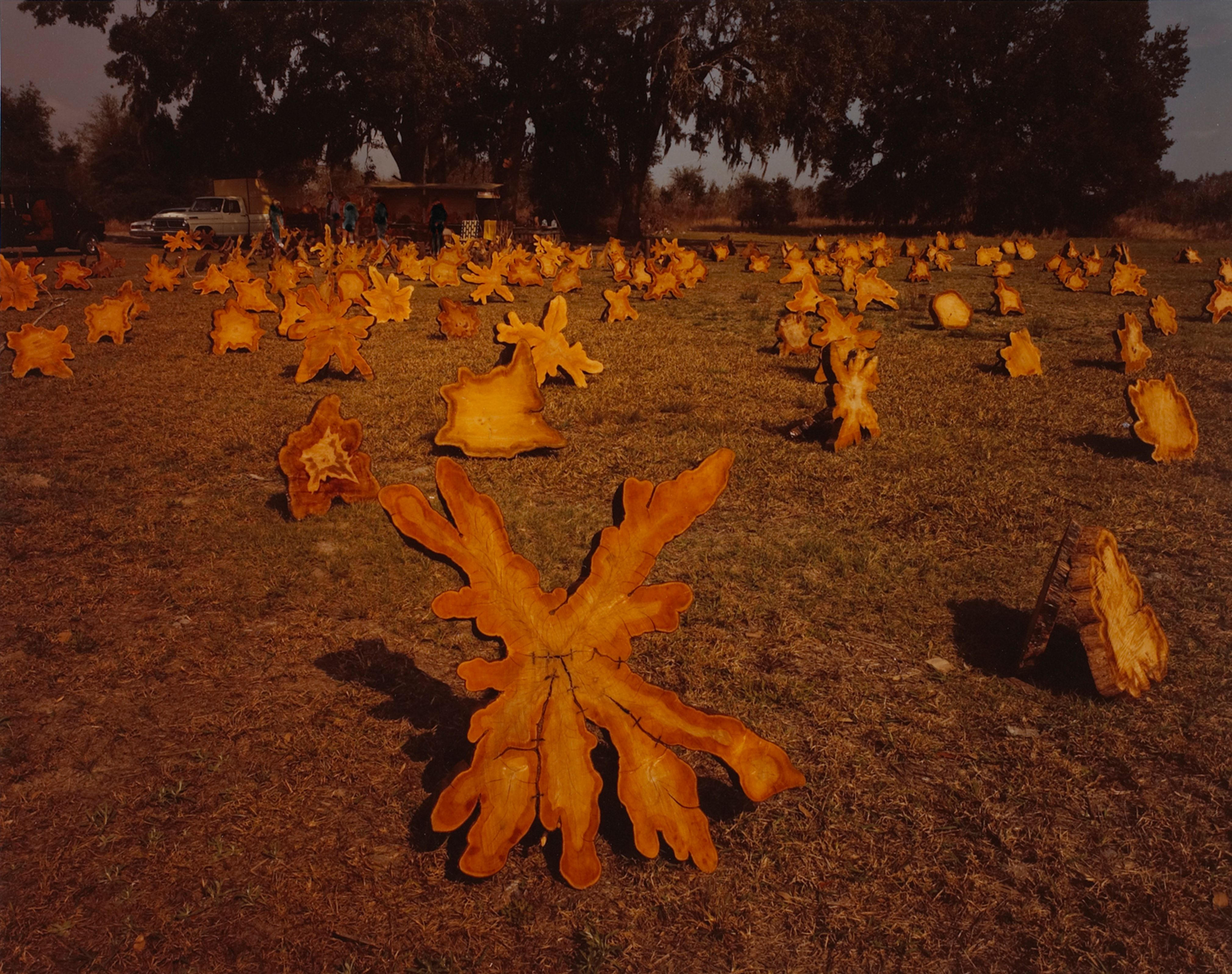 Cypress Tabletops, Kissemmee, Florida