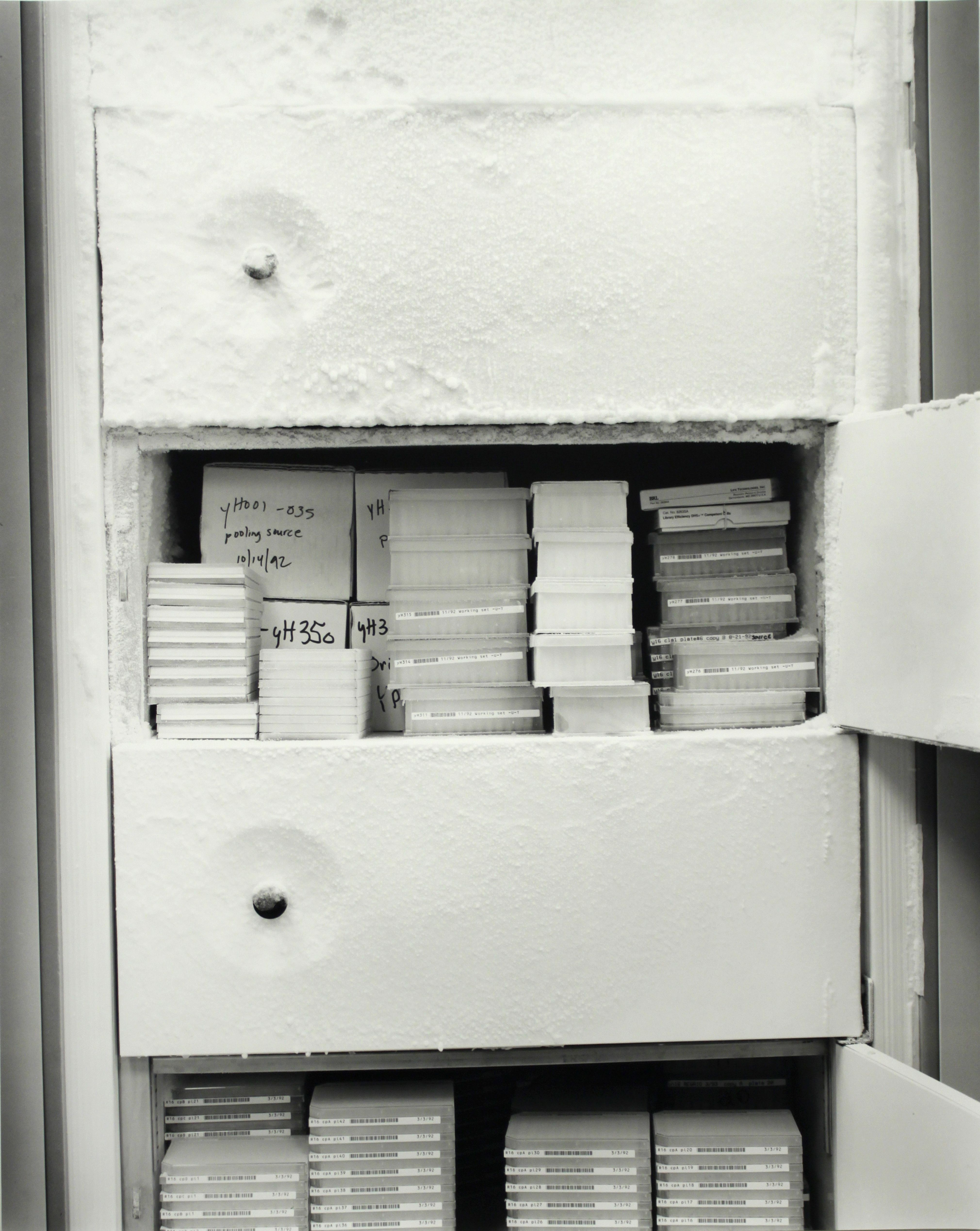 DNA Clone Library