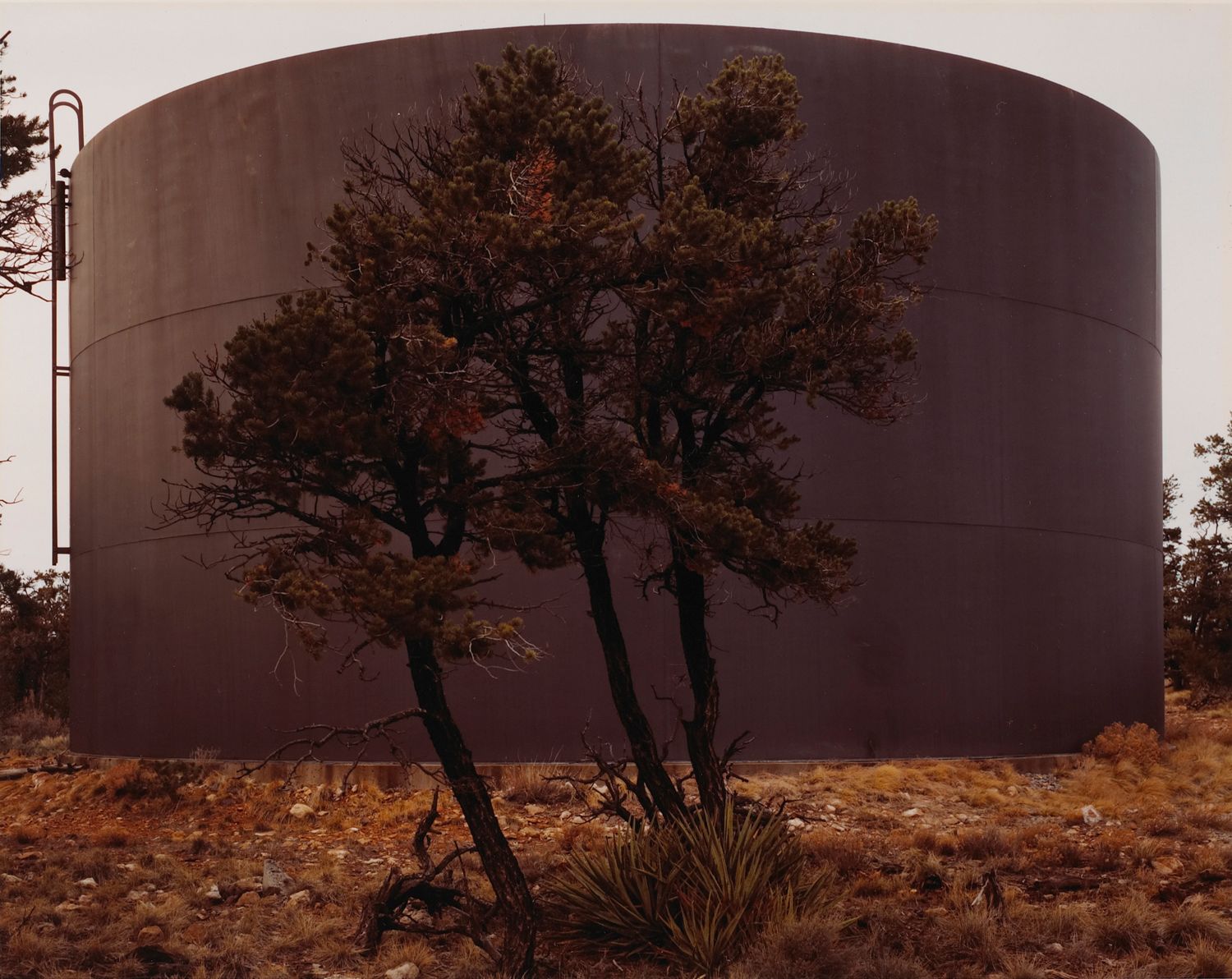 Water Tank Vignette, Grand Canyon National Park, Arizona
