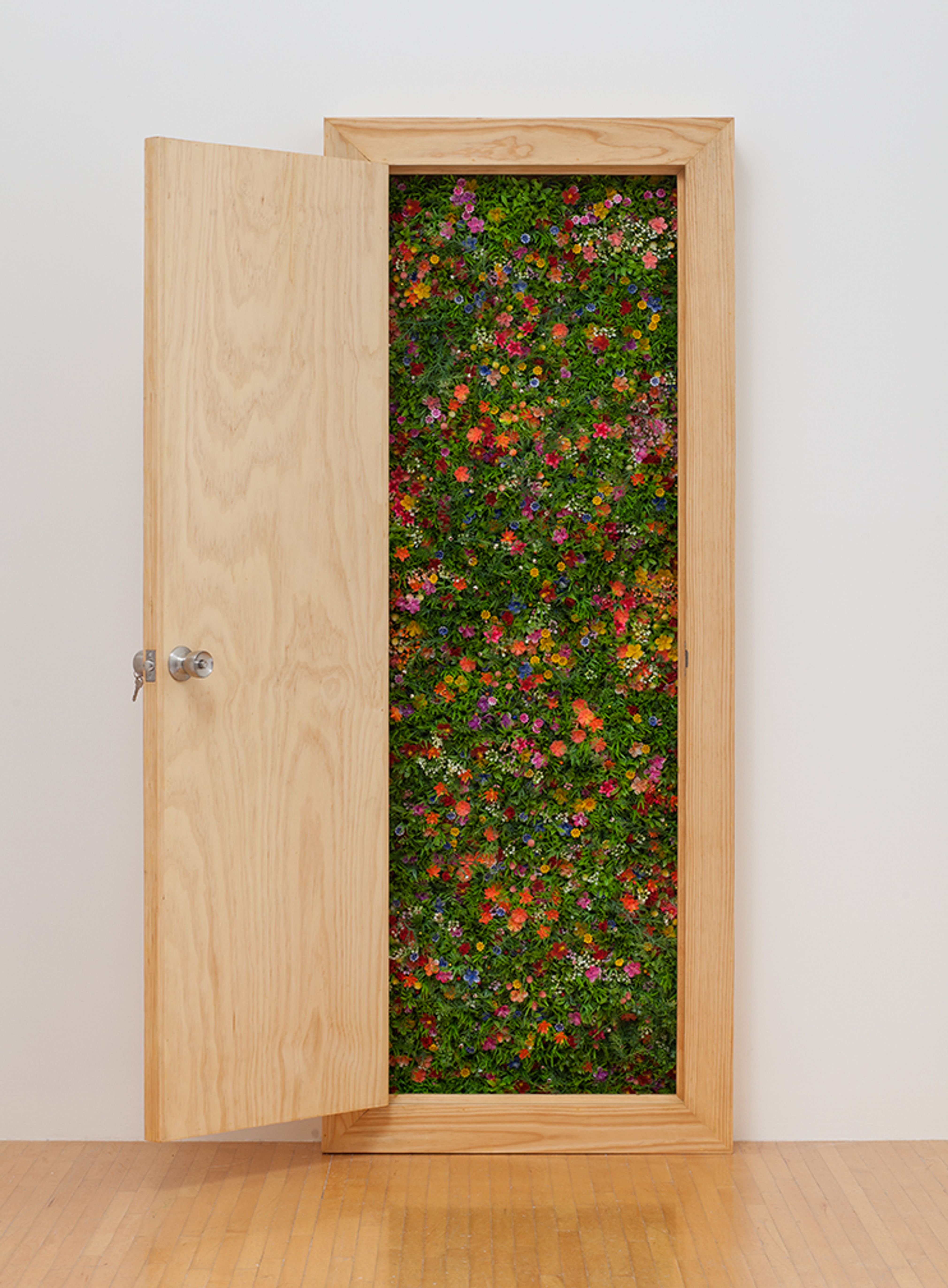 Untitled (Puerta II)
