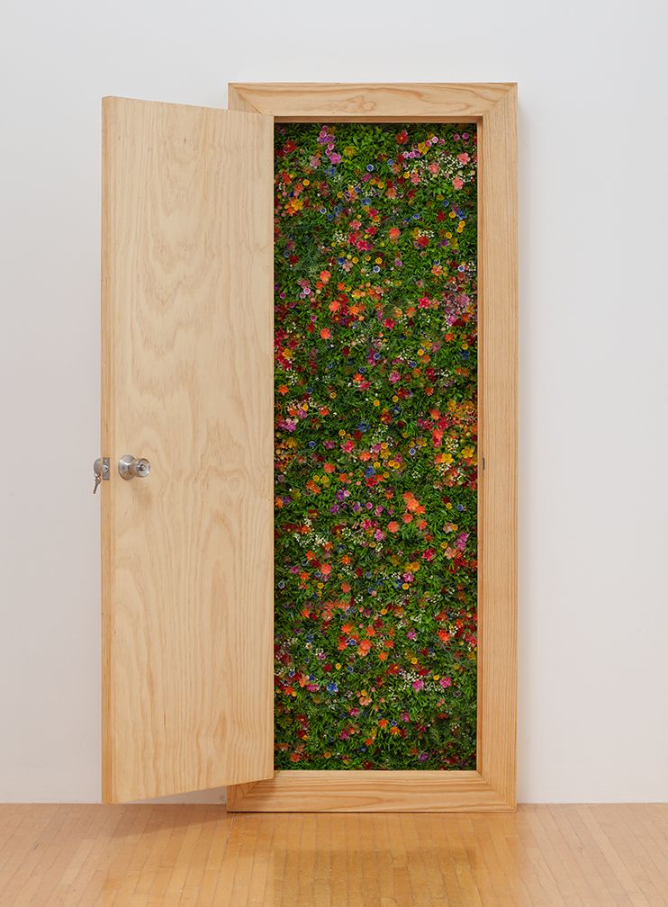 Untitled (Puerta II)