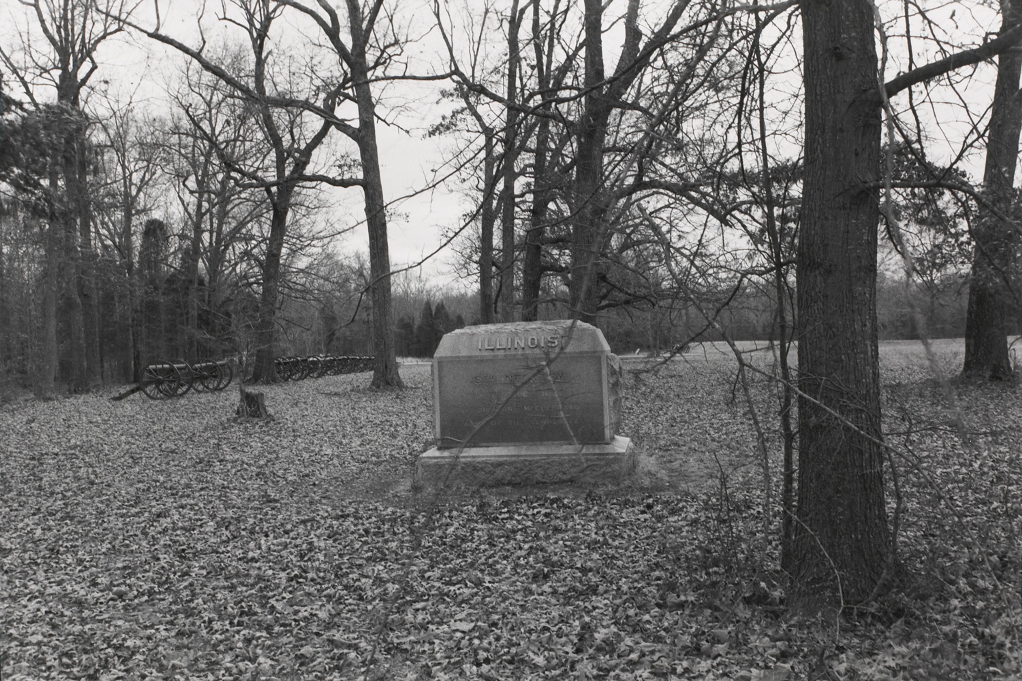 Untitled from Shiloh National Military Park, Tenessee (Illinois)