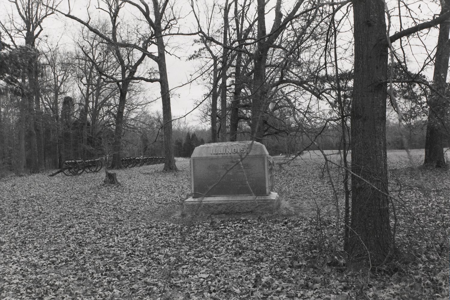 Untitled from Shiloh National Military Park, Tenessee (Illinois)