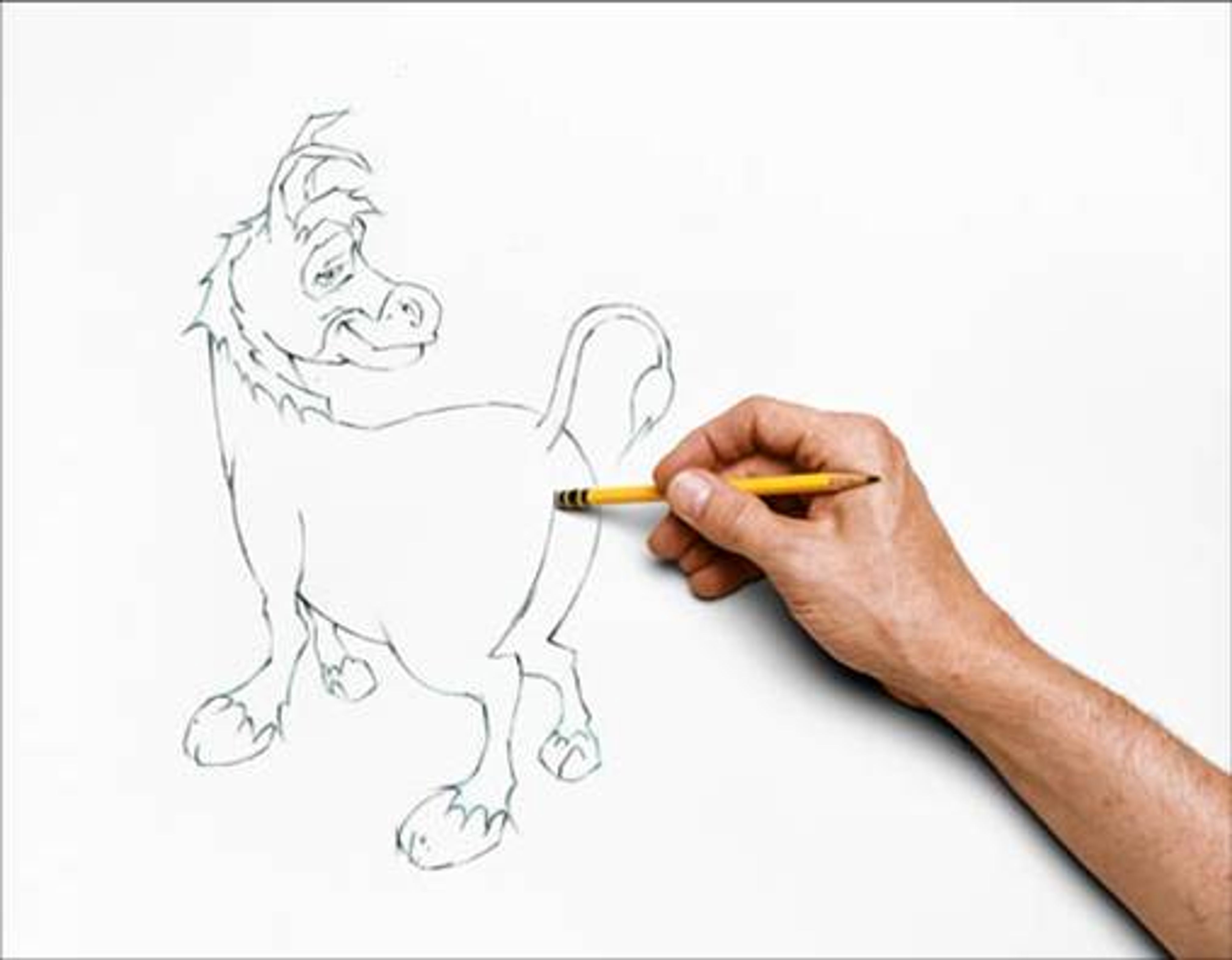 Donkey