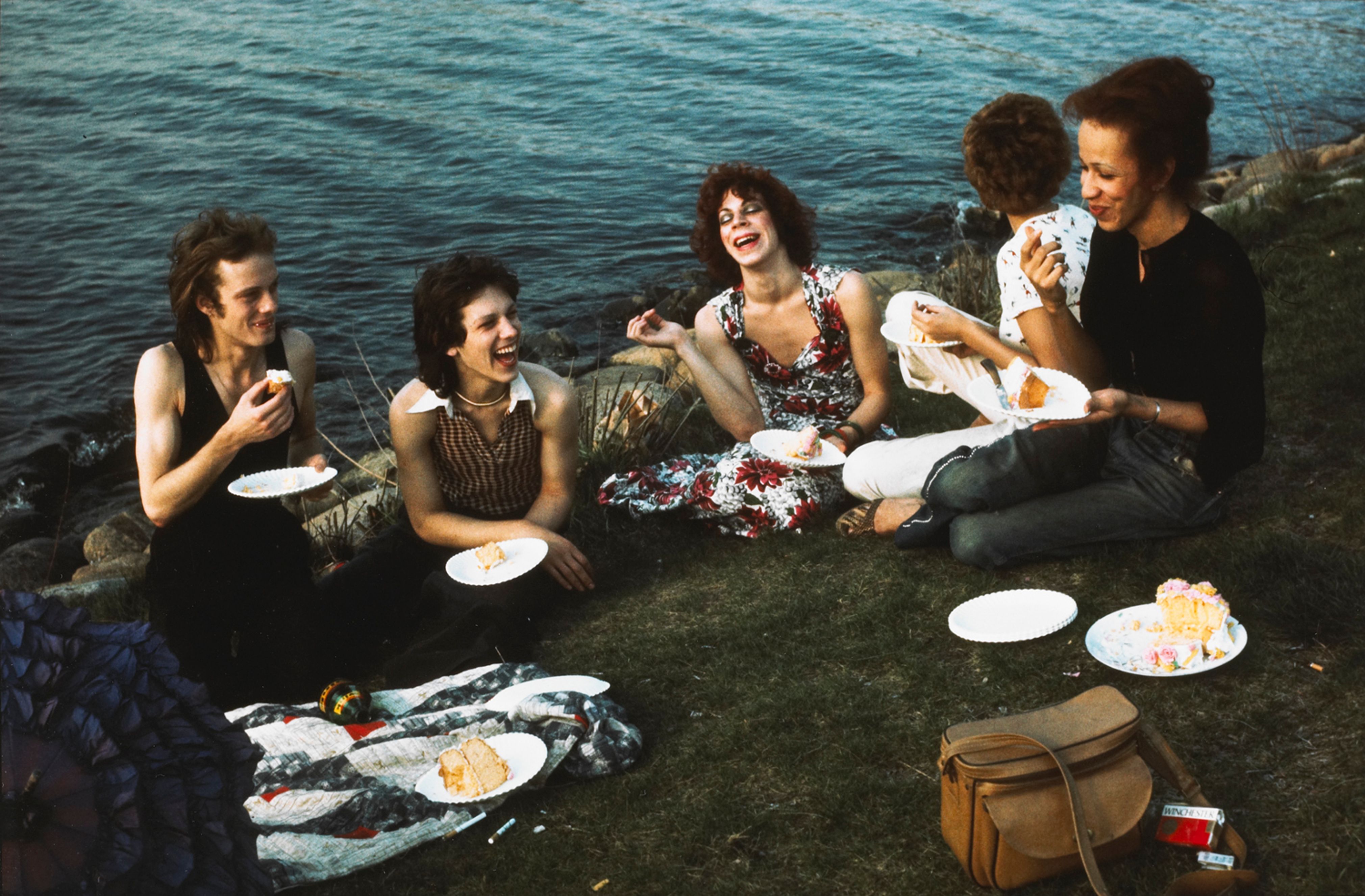 Picnic on the Esplanade, Boston