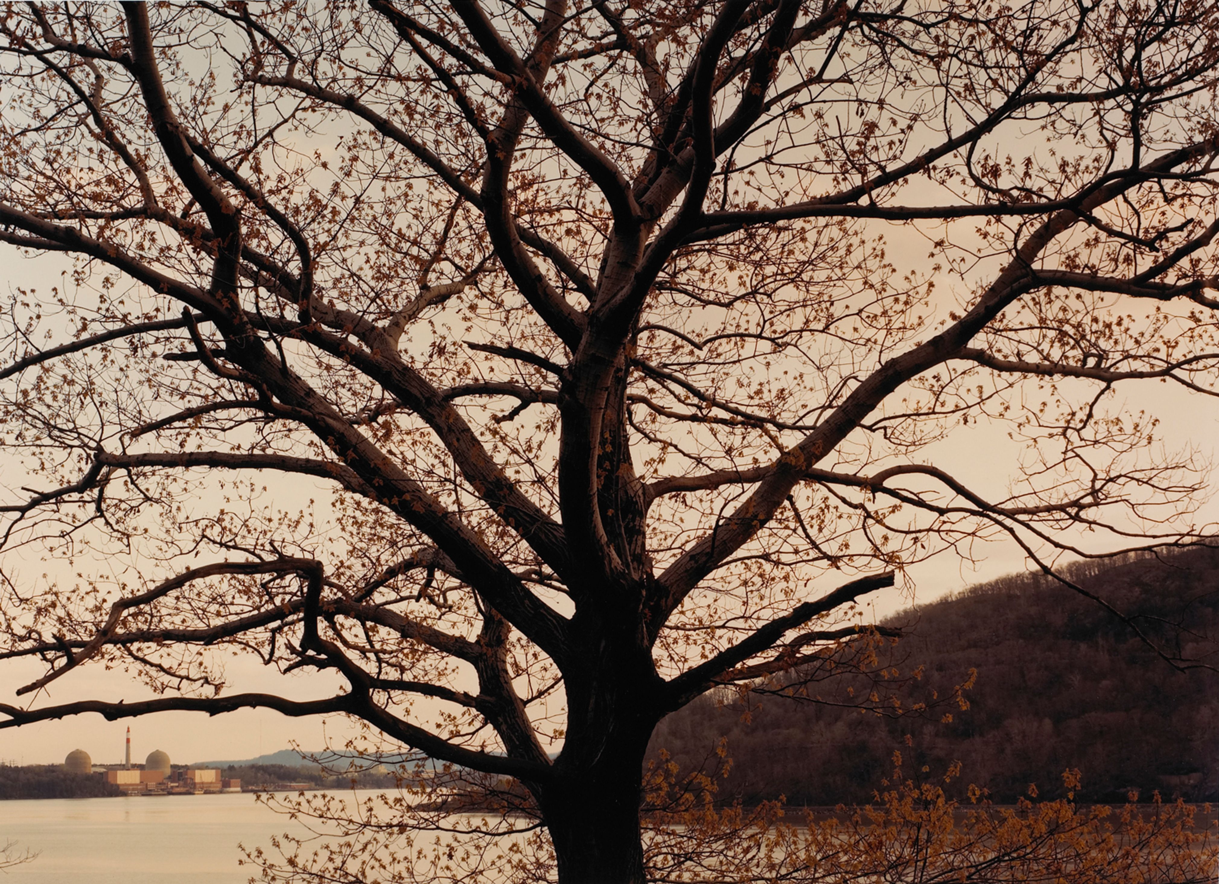 Indian Point Nuclear Plant, Hudson River, New York