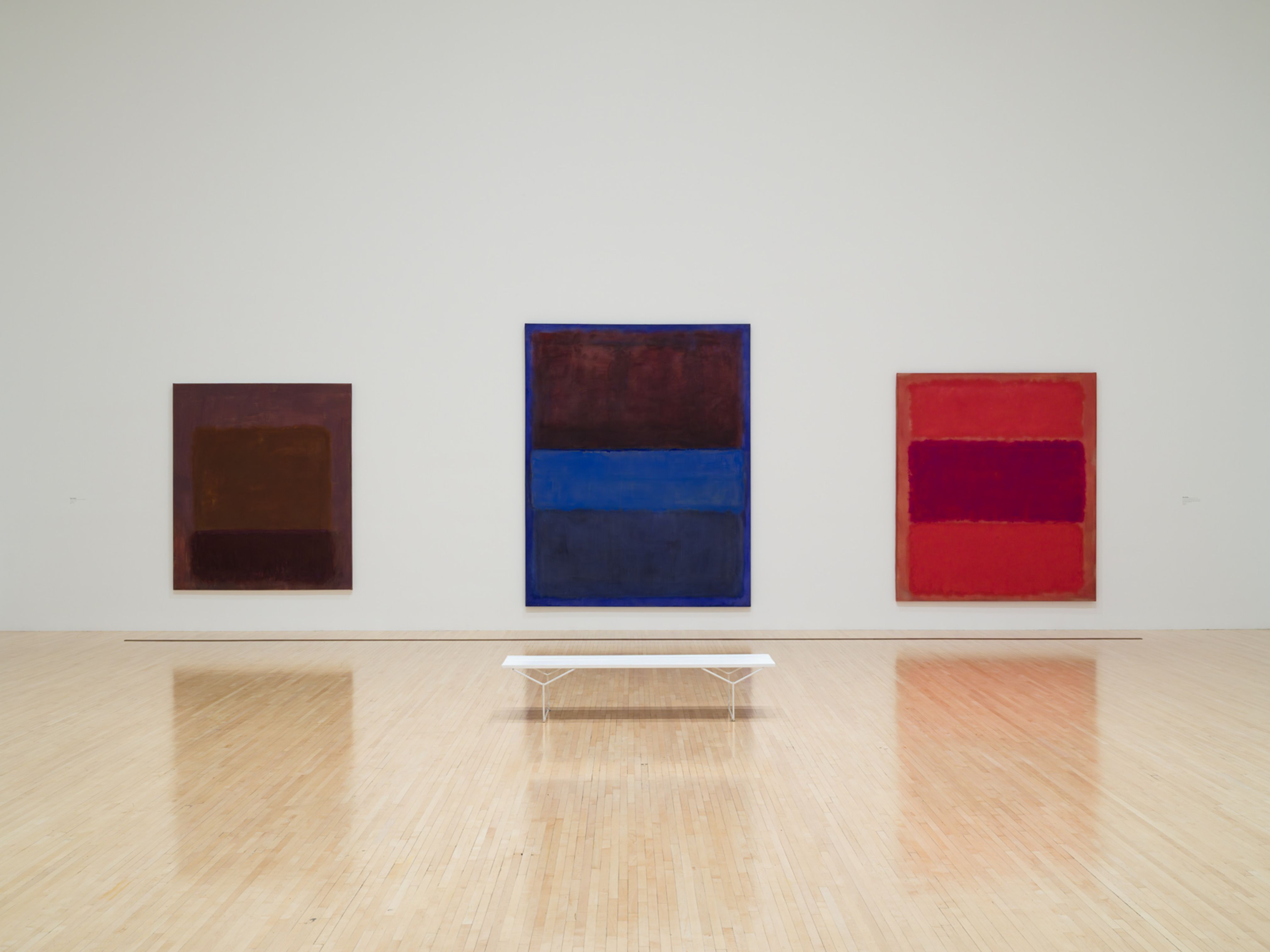 The Expanding Field: MOCA’s Collection from the 1940s to 1970s