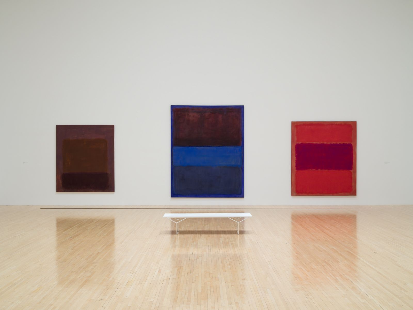 The Expanding Field: MOCA’s Collection from the 1940s to 1970s