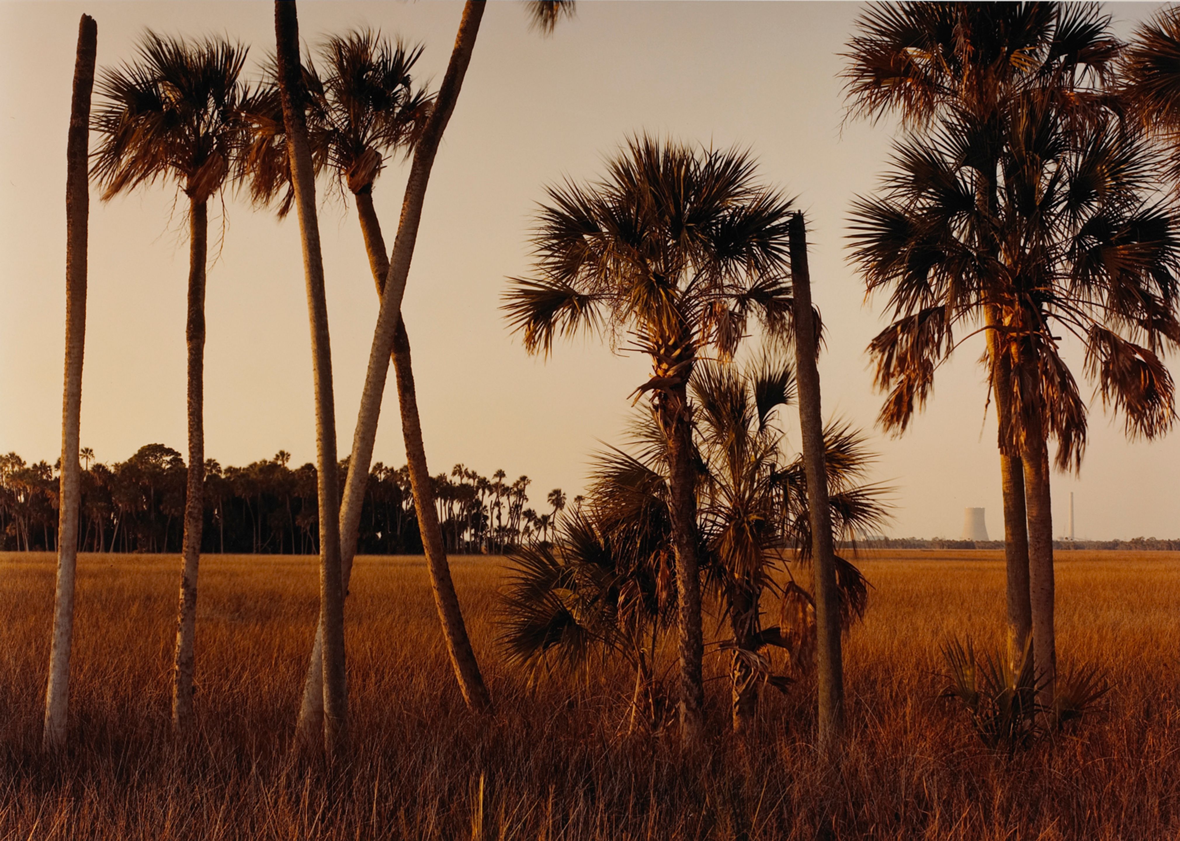 Crystal River Nuclear Plant (morning)