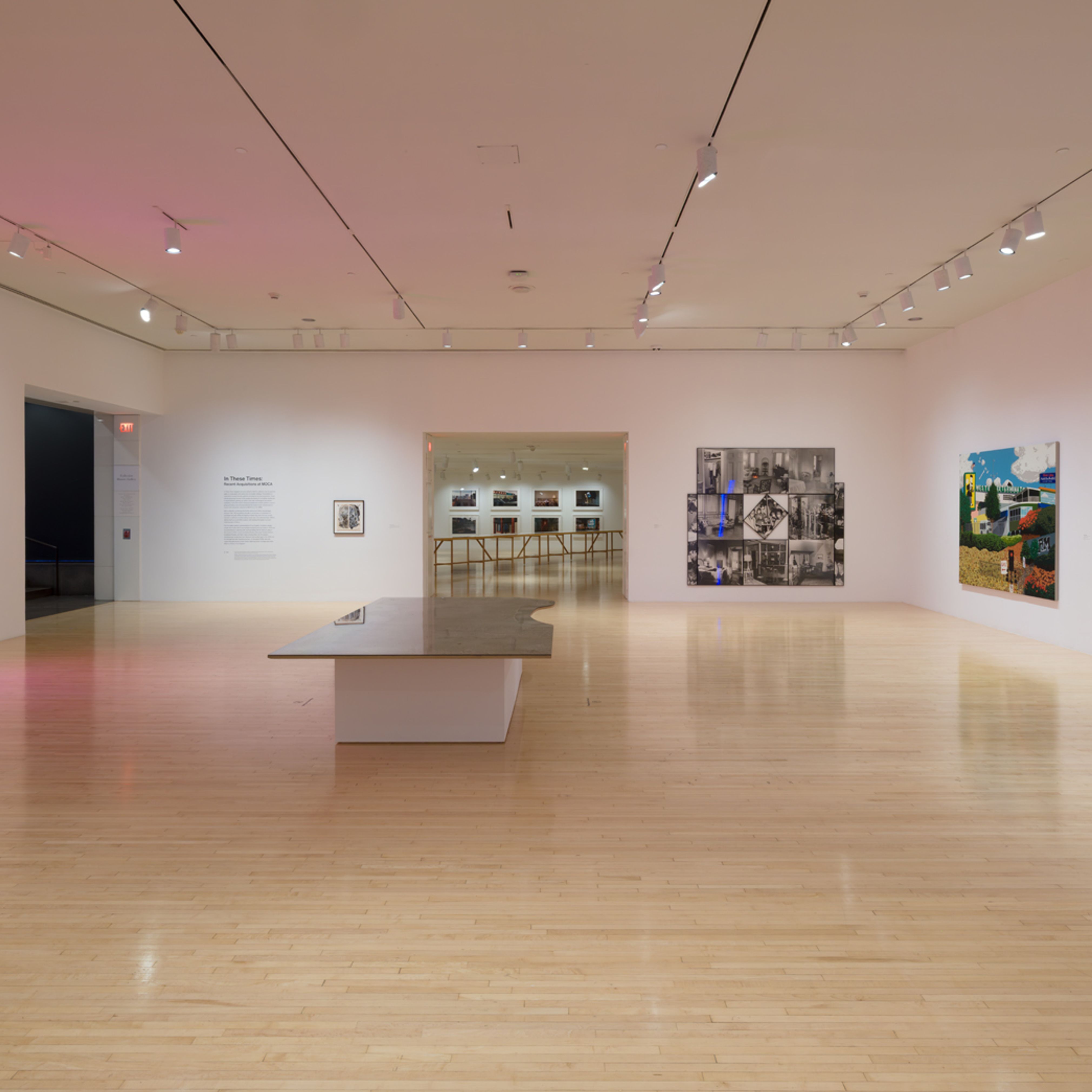 Curator-Led Walkthrough of In These Times: Recent Acquisitions at MOCA by Senior Curator Bennett Simpson