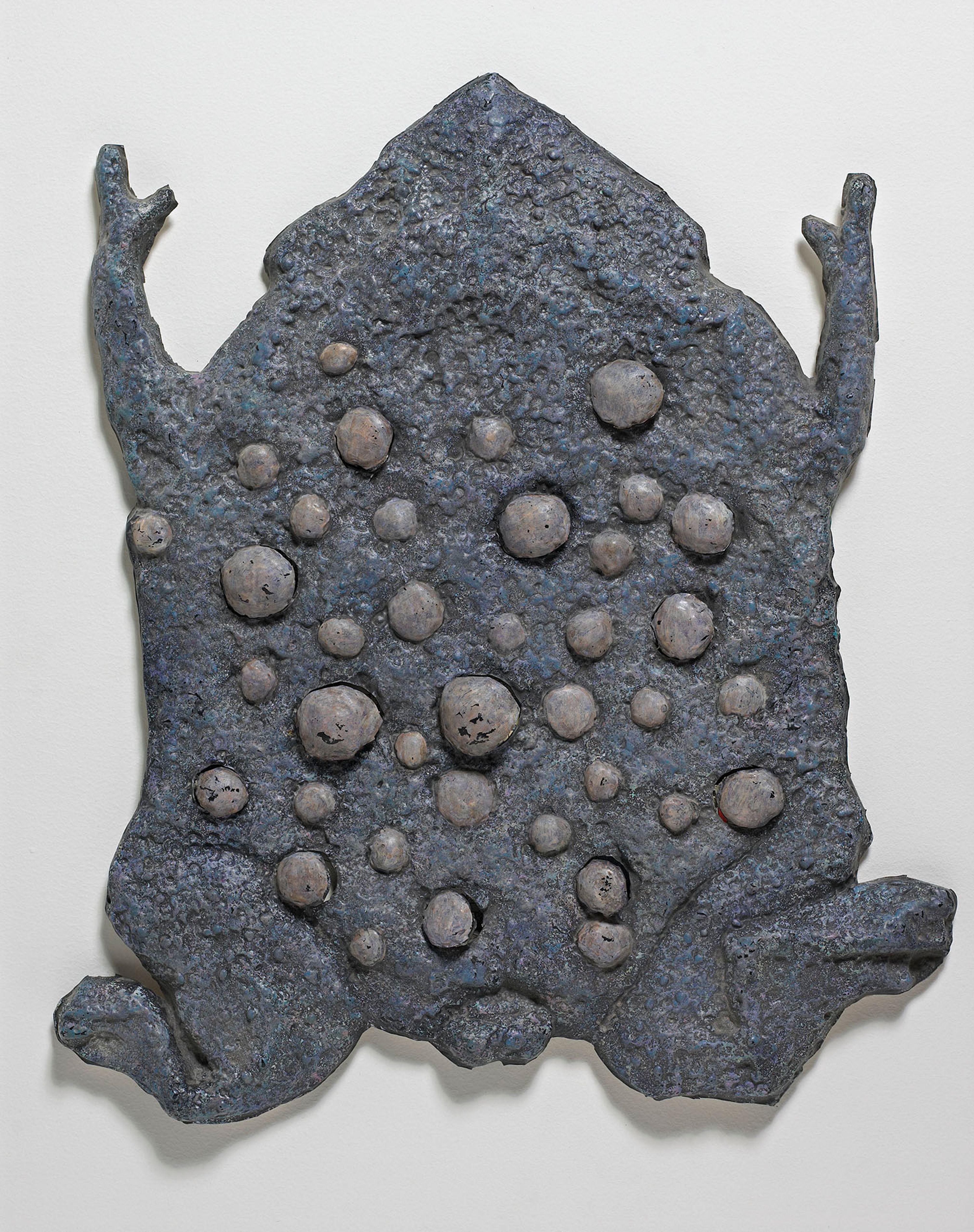 Surinam Toad Advent Calendar