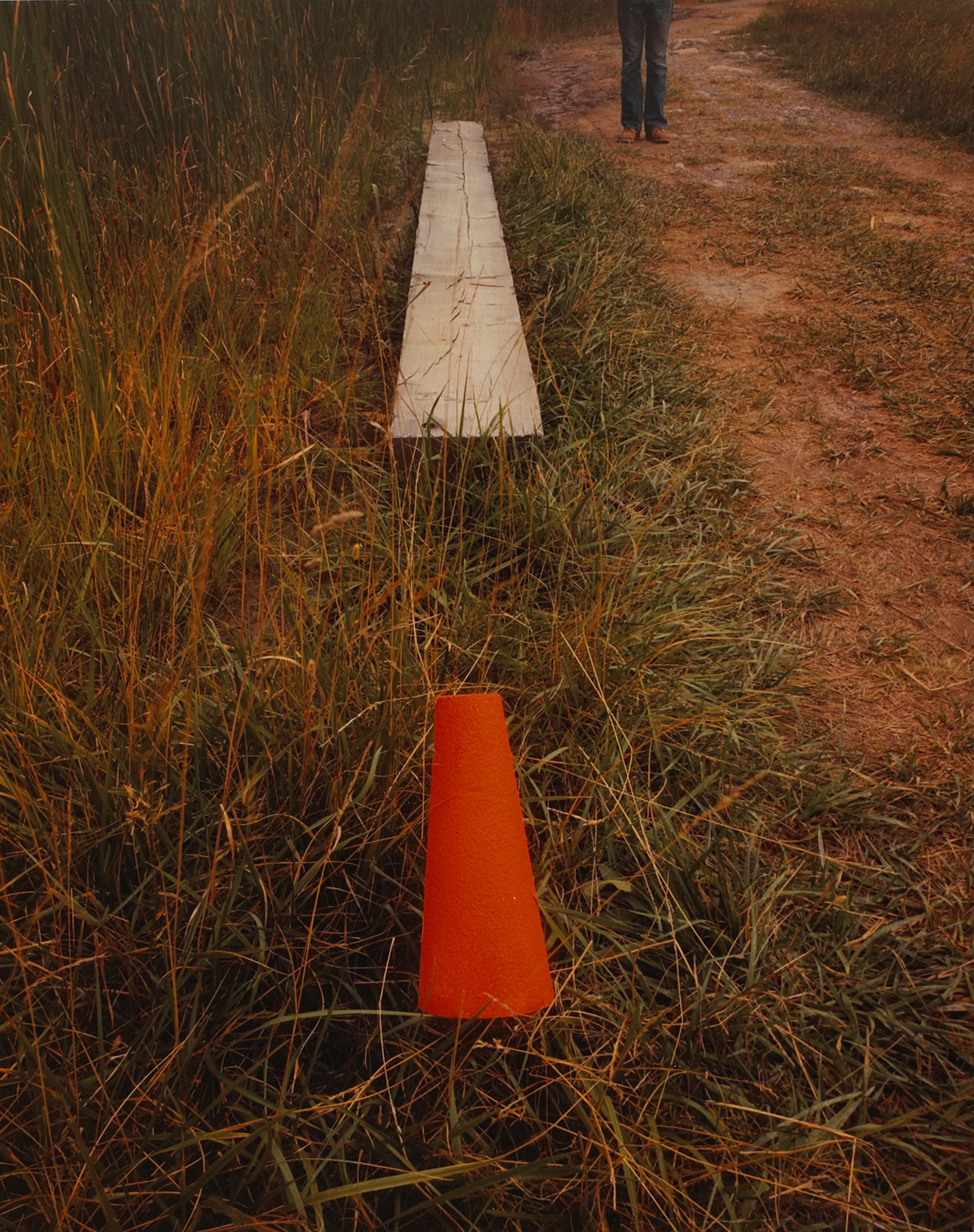Plank and Cone, Artpark, Lewiston, New York