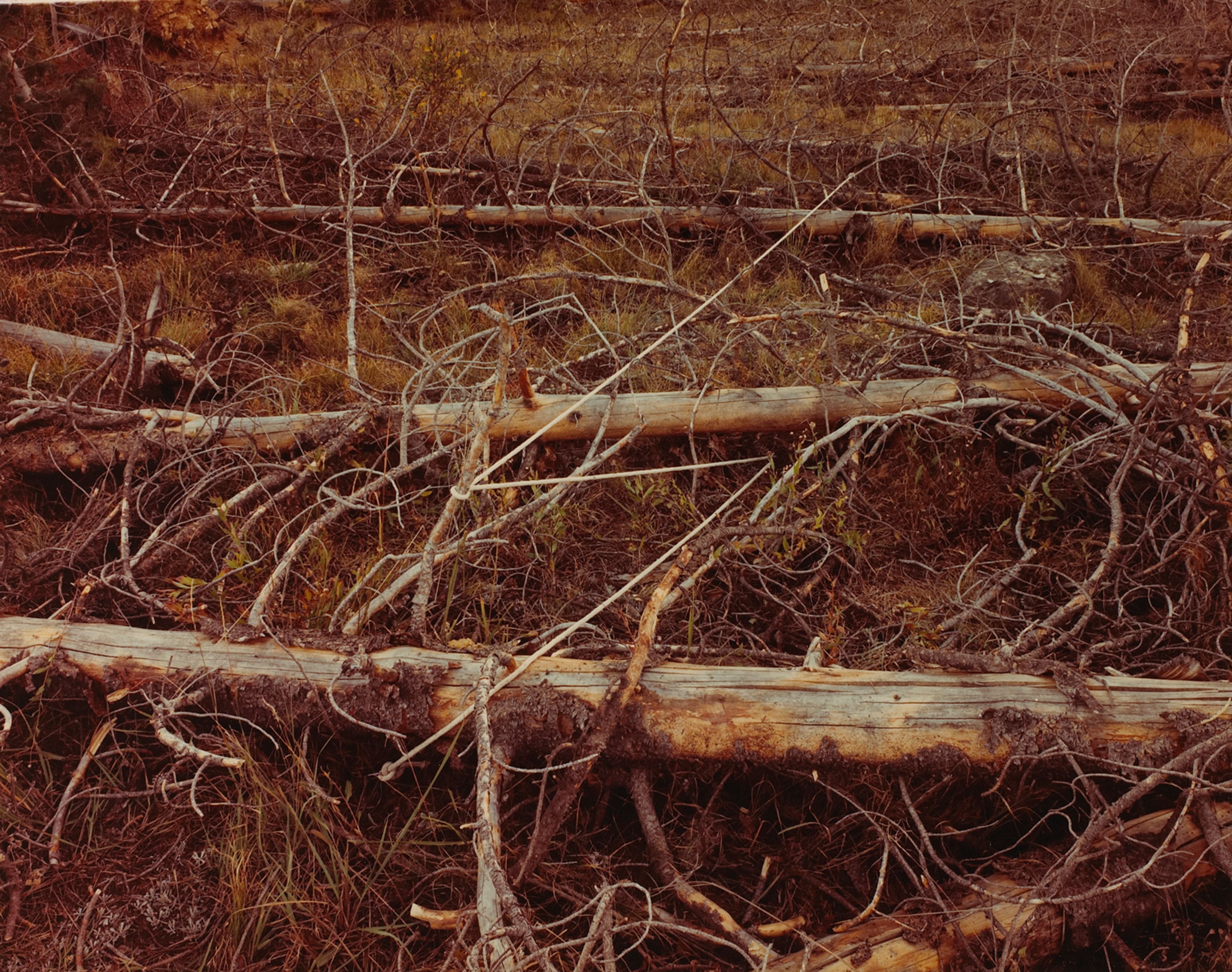 Blowdown Lightning, Grand Teton National Park, Wyoming