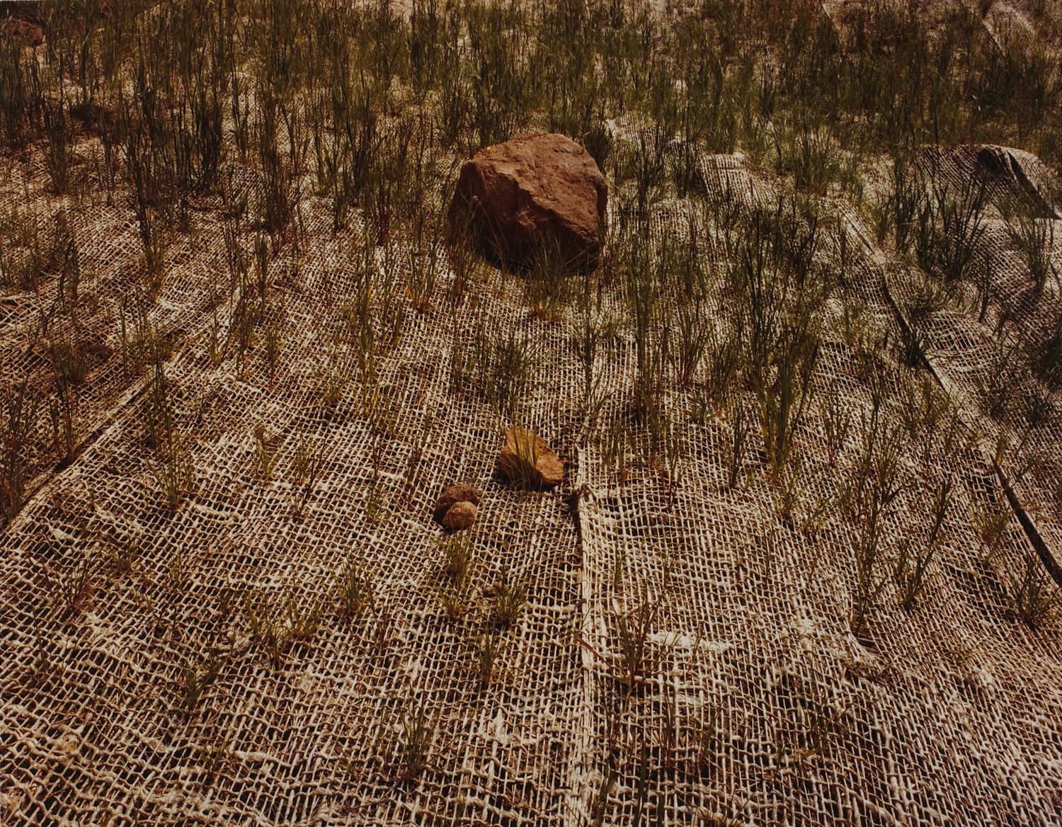 Burlap Landscape, Vail Pass, Colorado