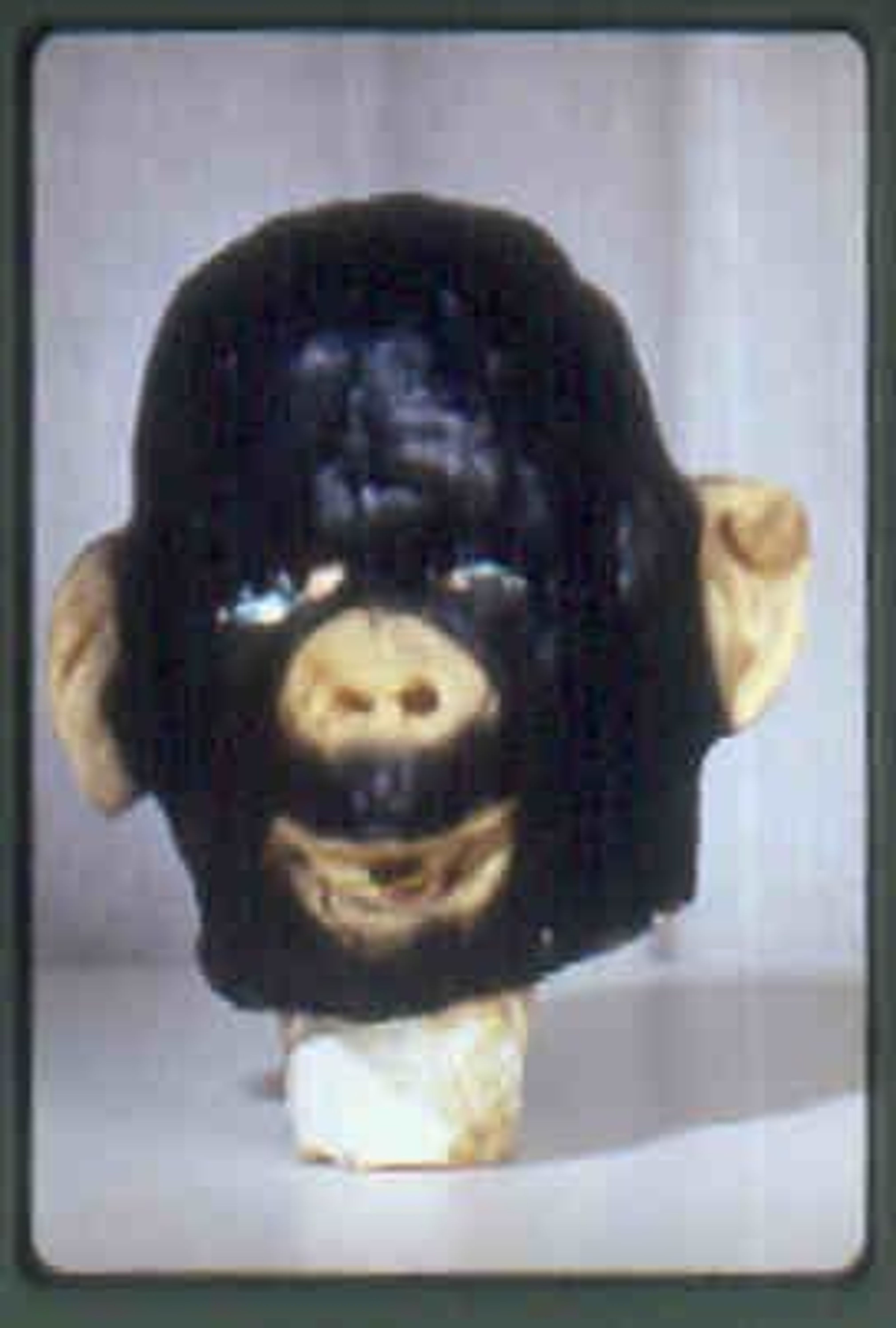 Masks (Monkey)