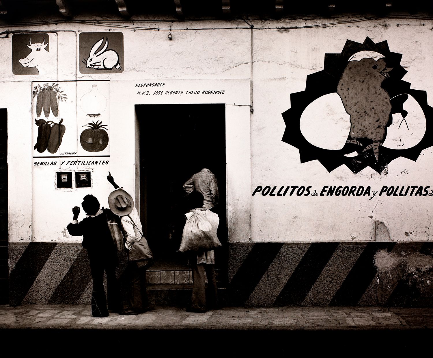 Feed and Seed Store