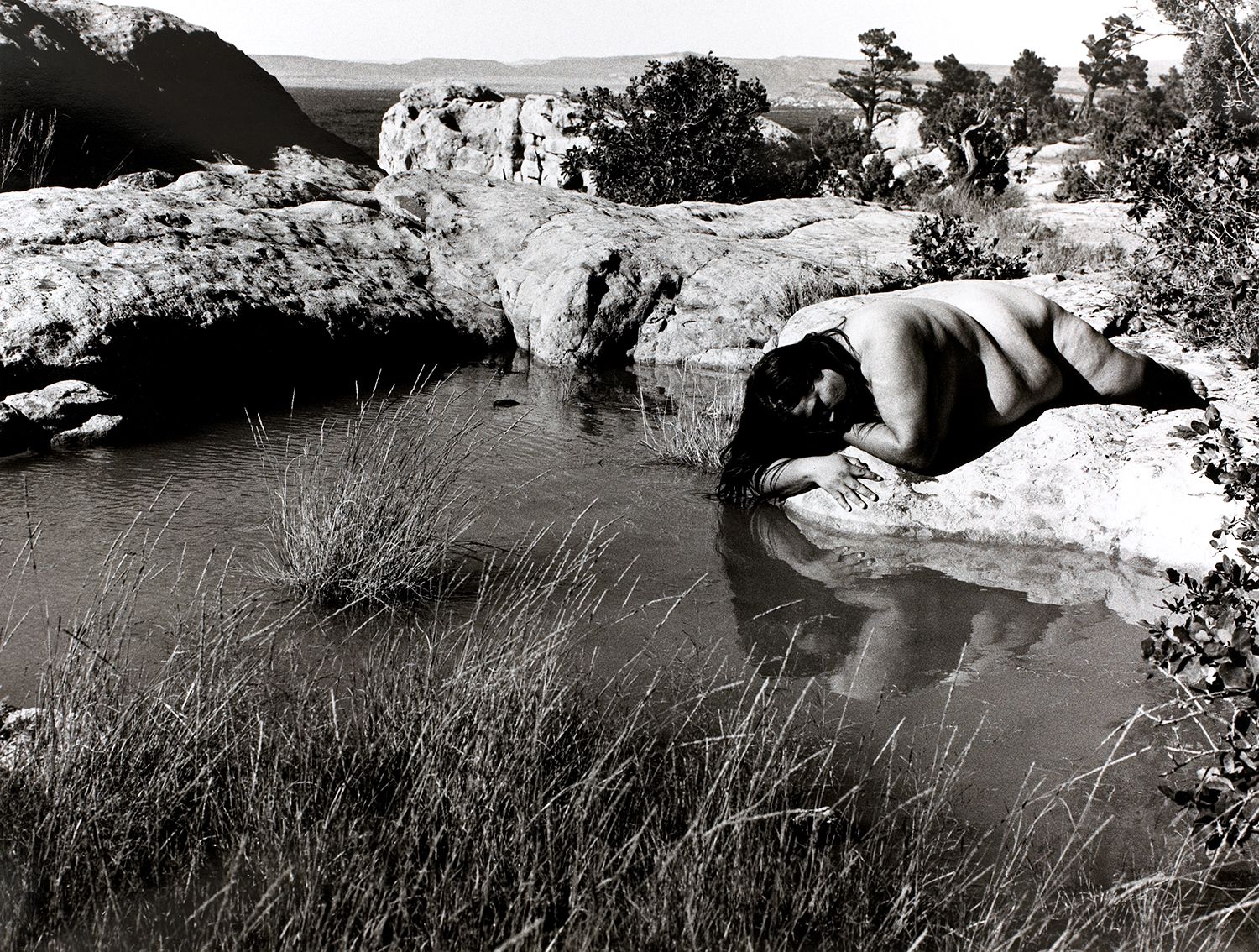 Untitled Landscape