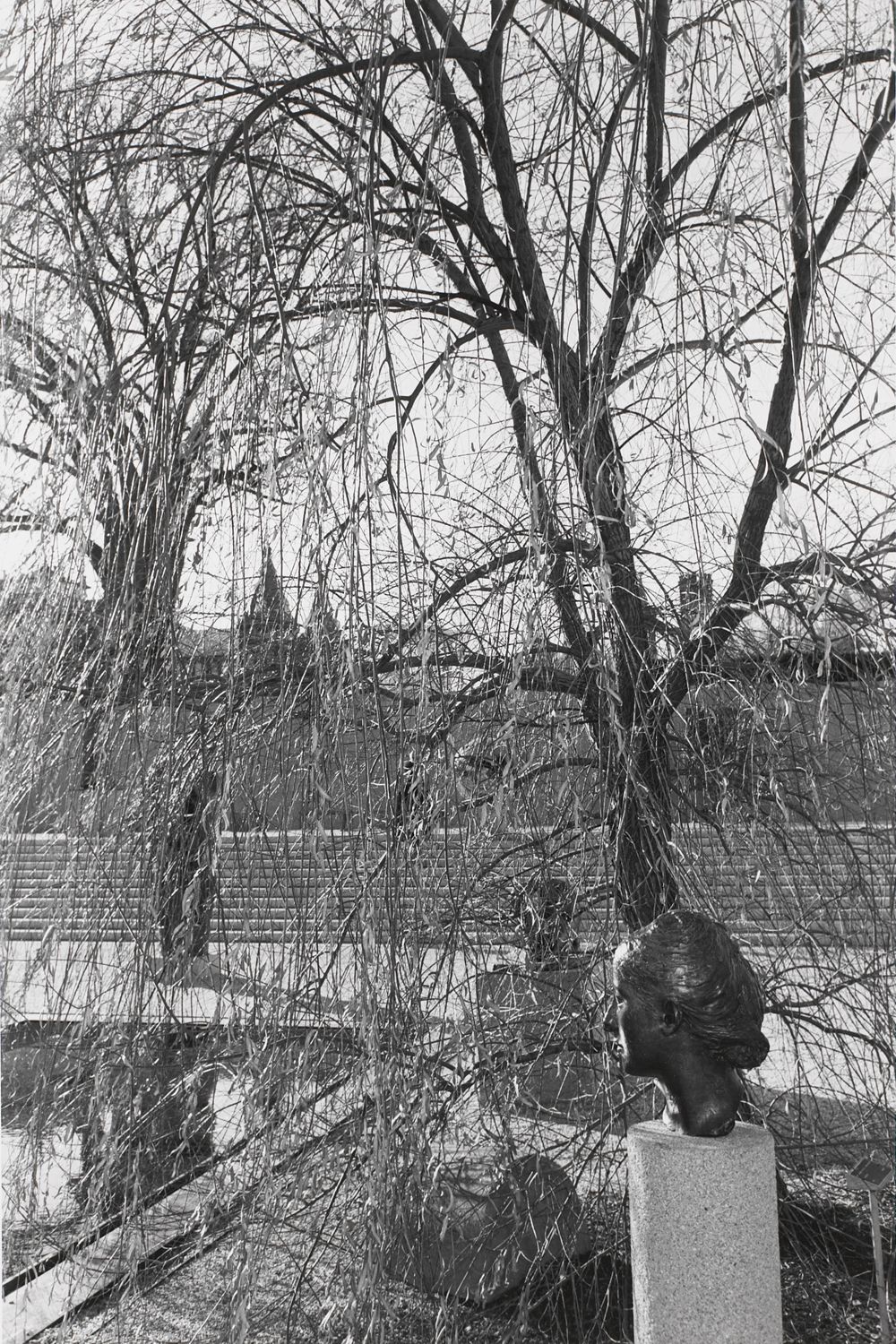 Untitled (Sculpture Head Overlooking Pond)