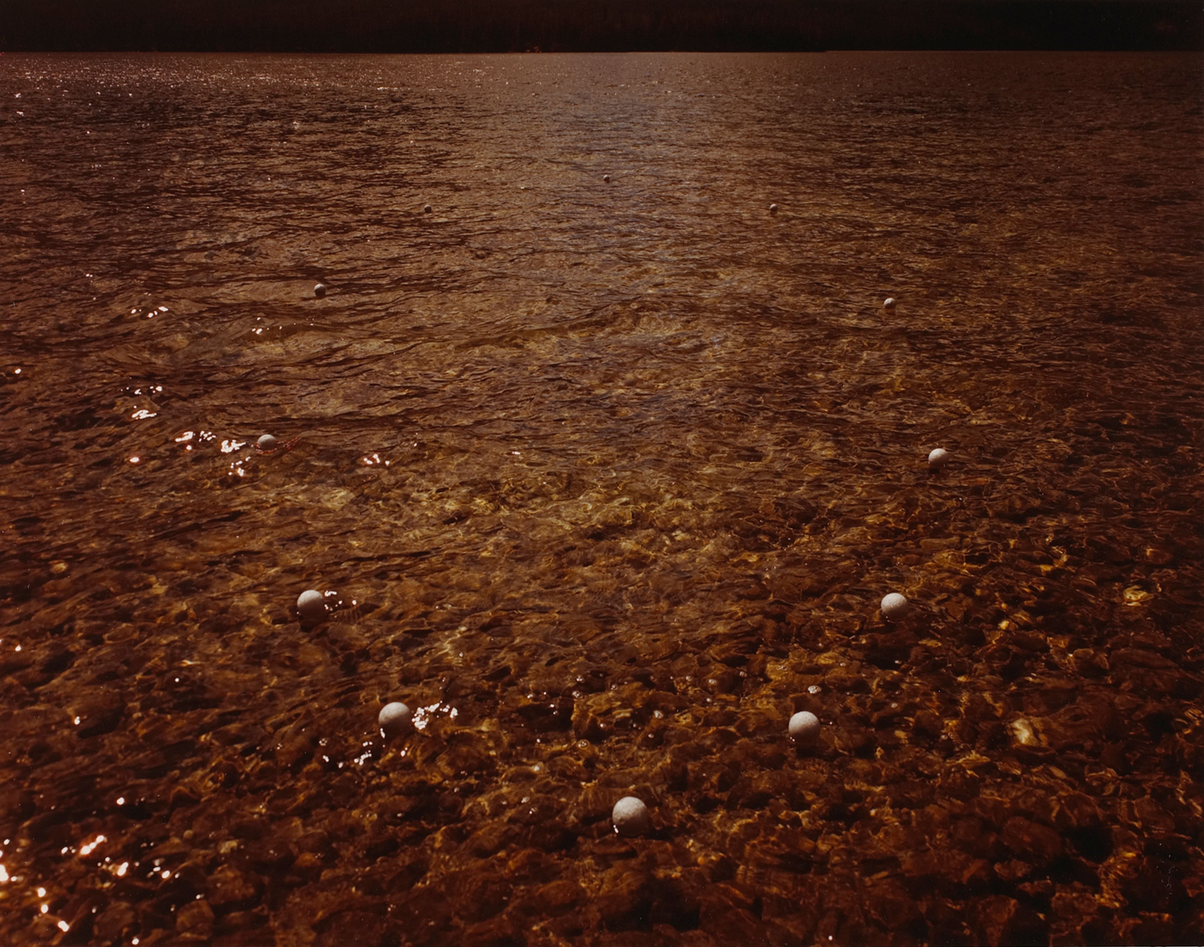 Leigh Lake,  Grand Teton National Park, Wyoming