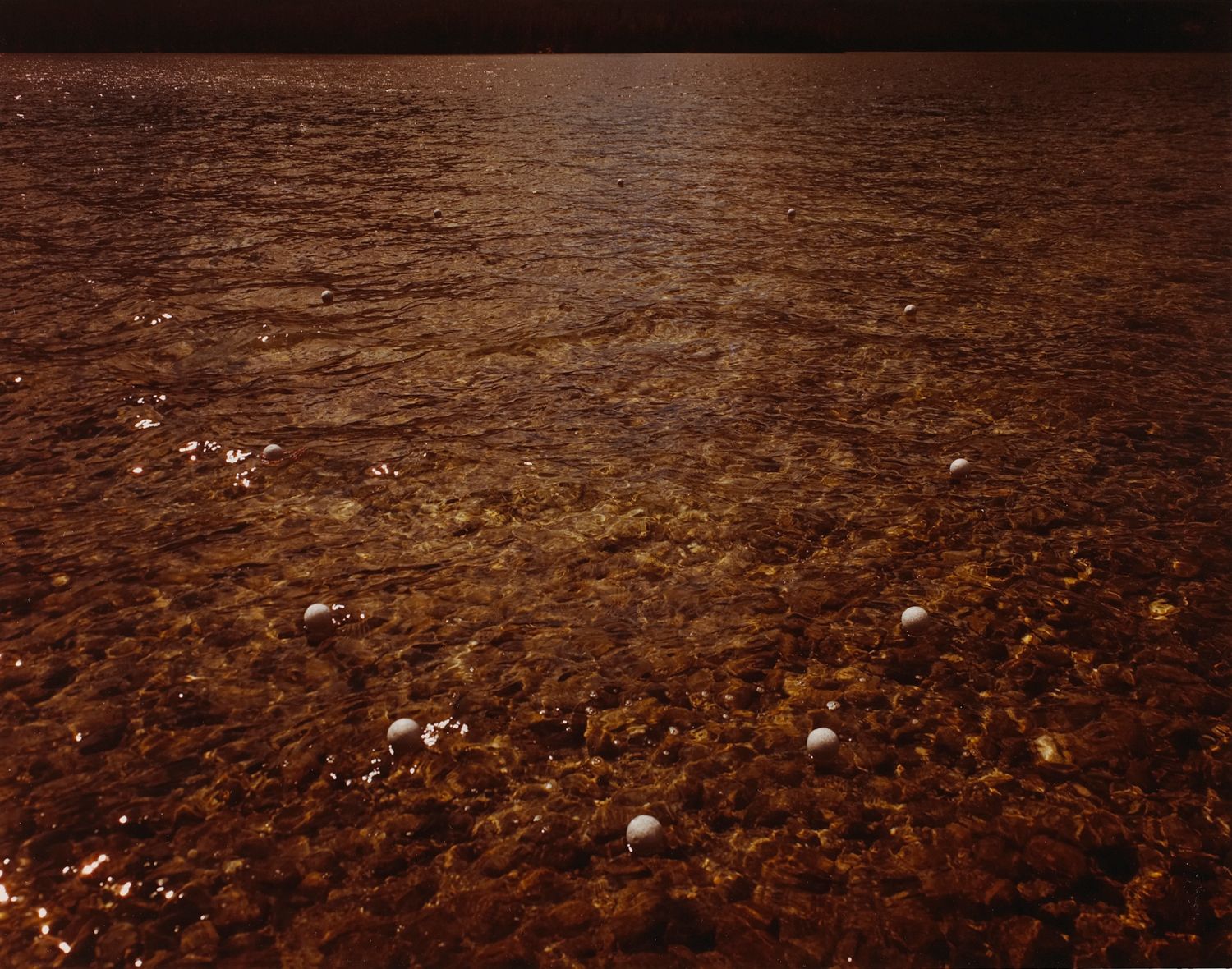 Leigh Lake, Grand Teton National Park, Wyoming